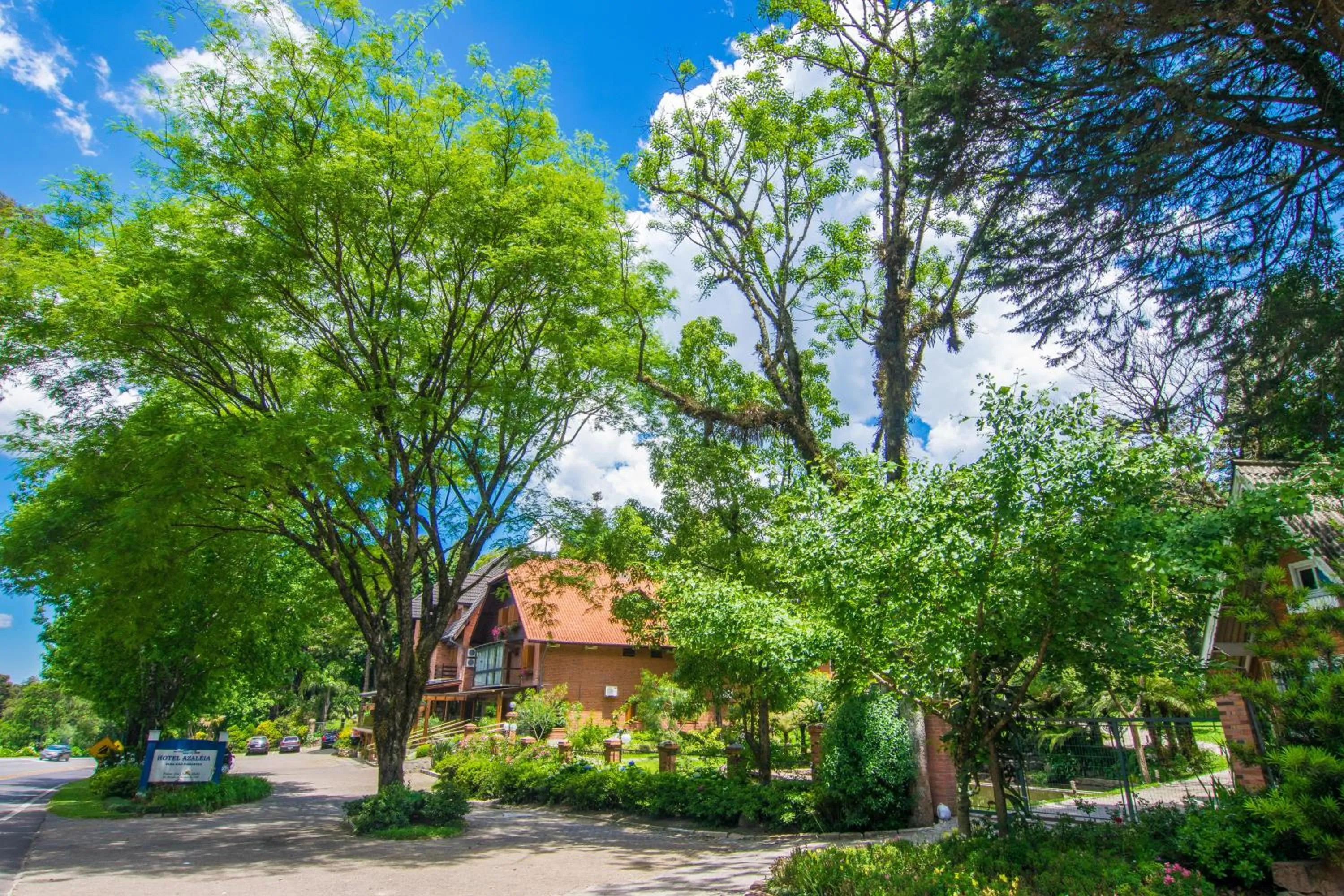 Garden in Hotel Azaleia