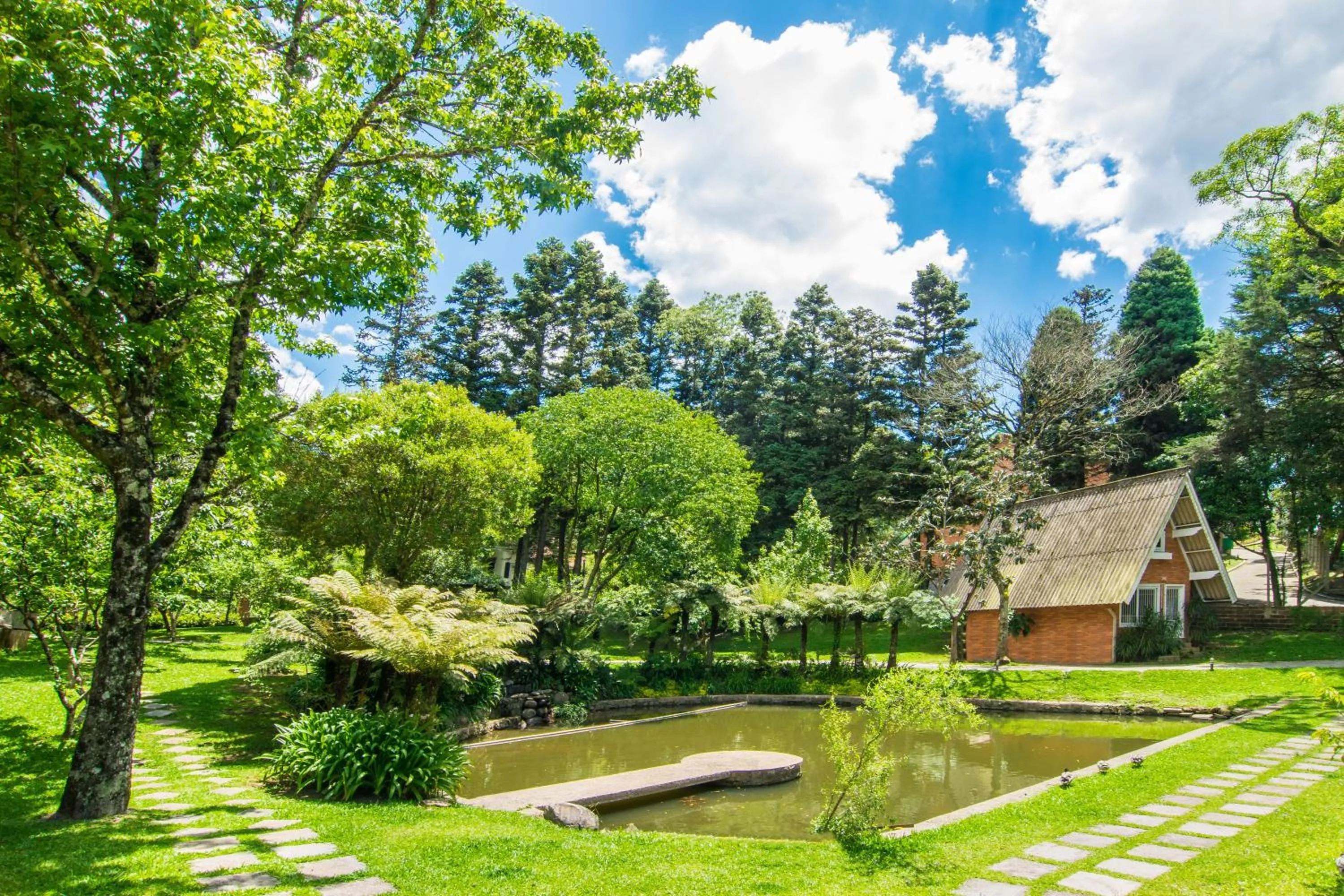 Natural landscape in Hotel Azaleia