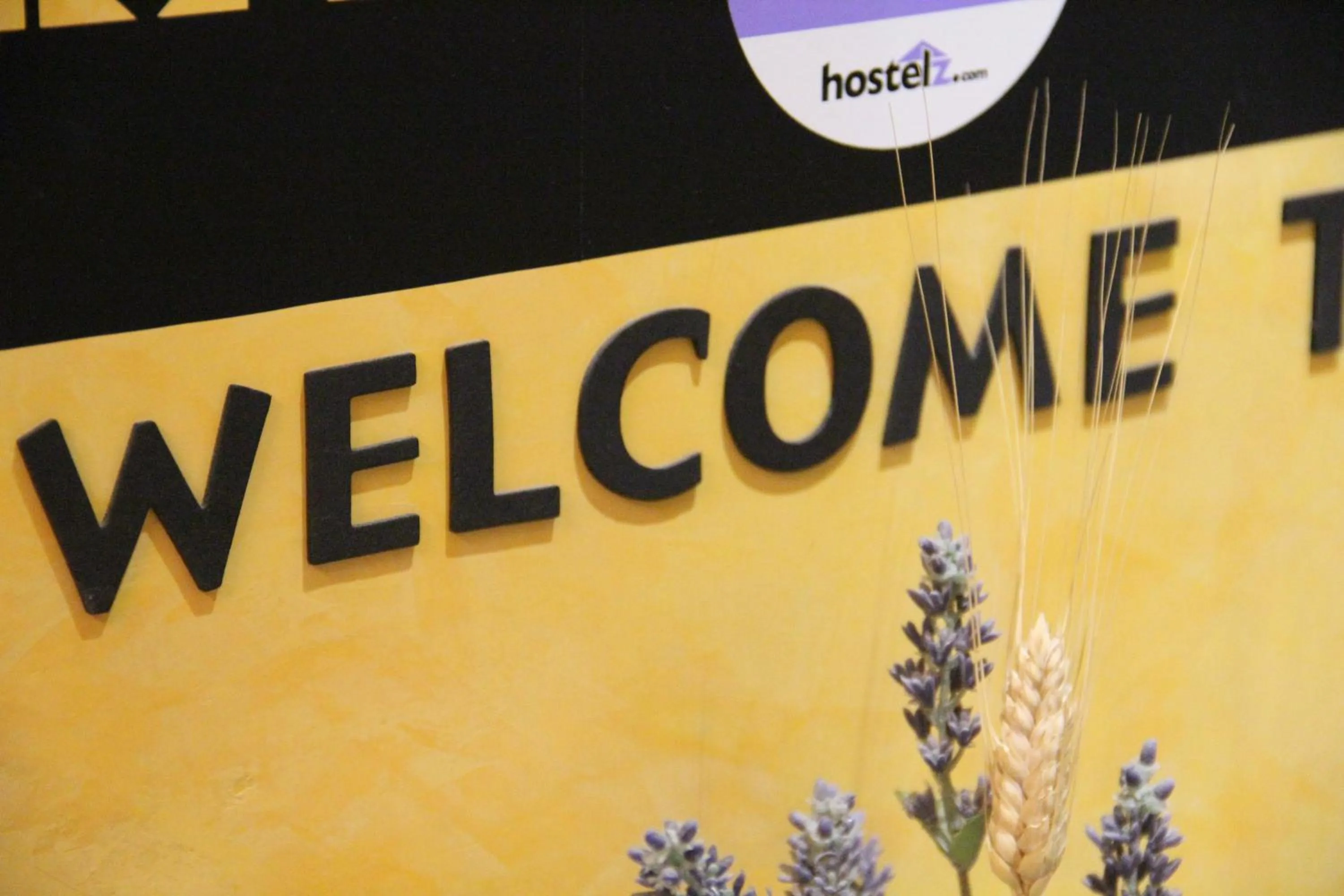 Decorative detail in Alternative Creative Youth Hostel Barcelona