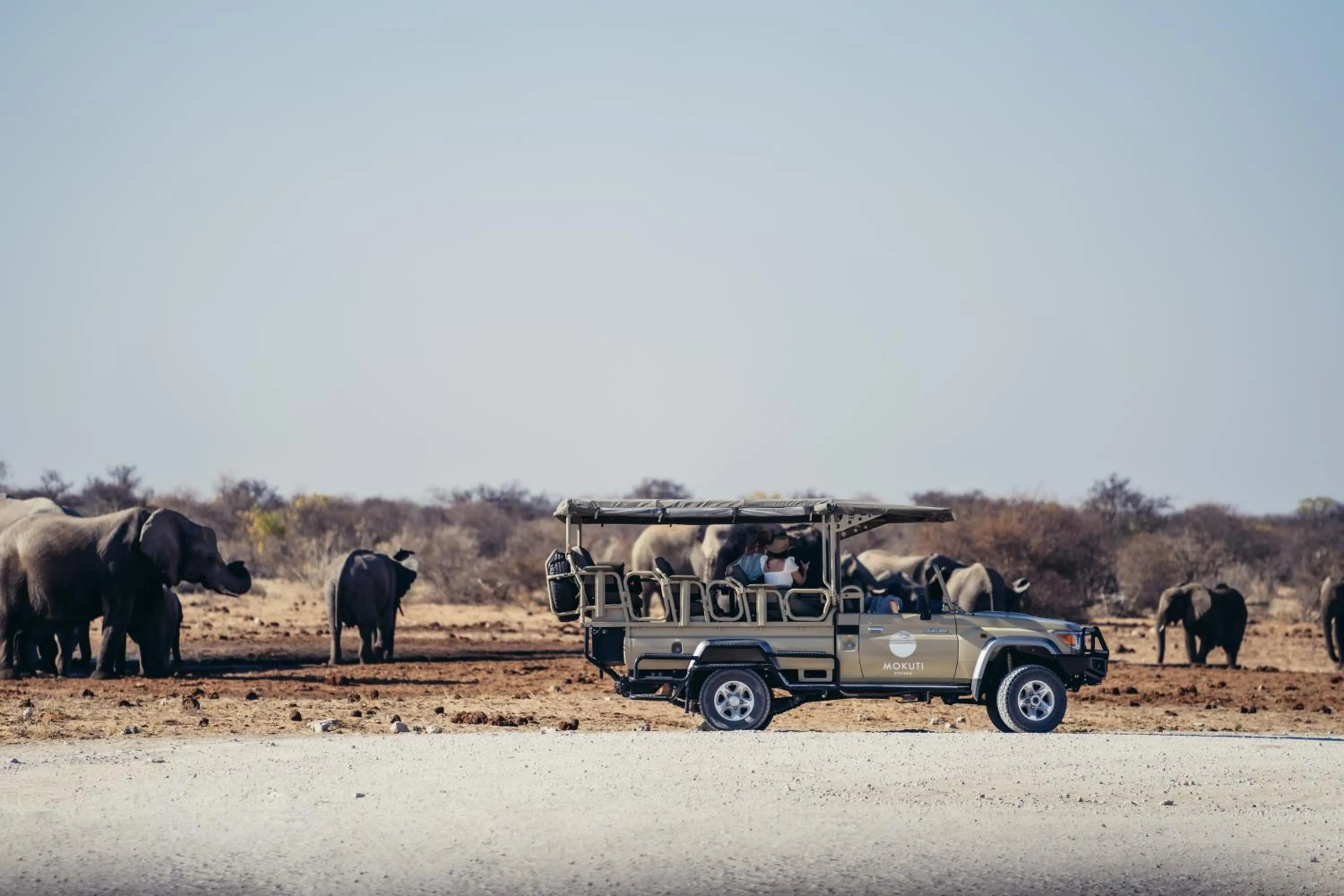 Animals in Mokuti Etosha