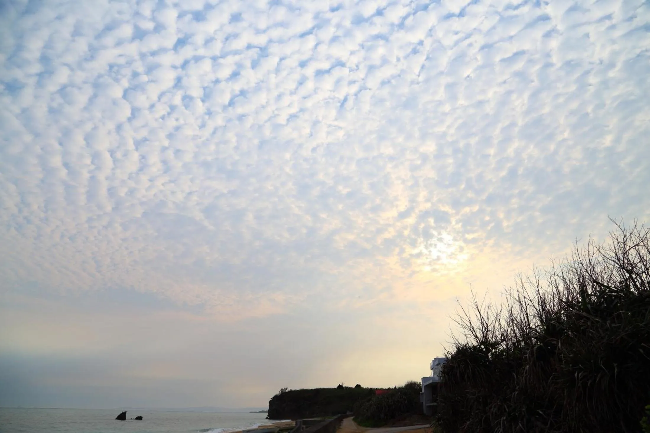 Tabinoteitaku Okinawa Nakijin HOMANN CONCEPT