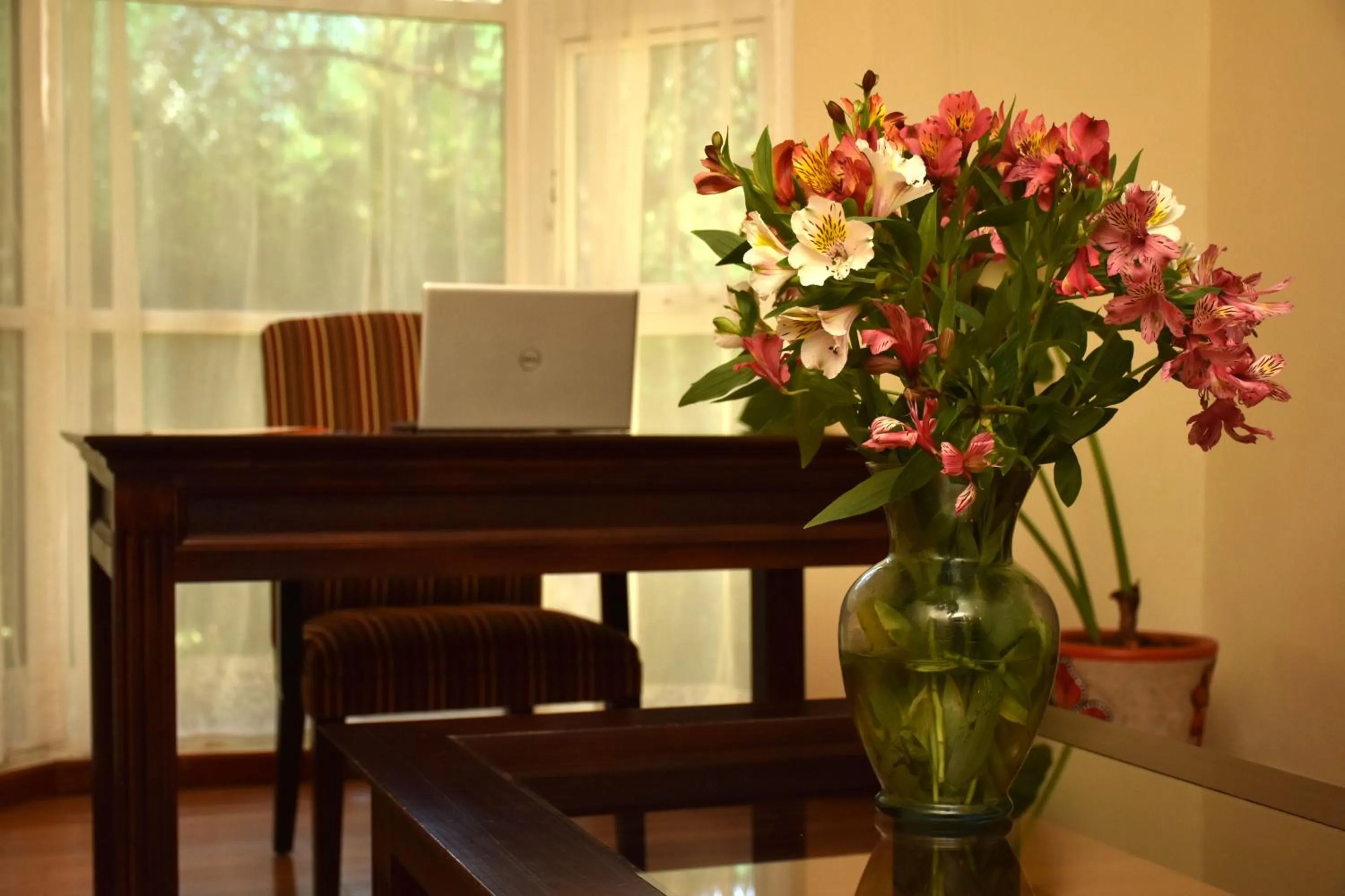 Seating area in Hotel Villa Mercedes San Cristobal