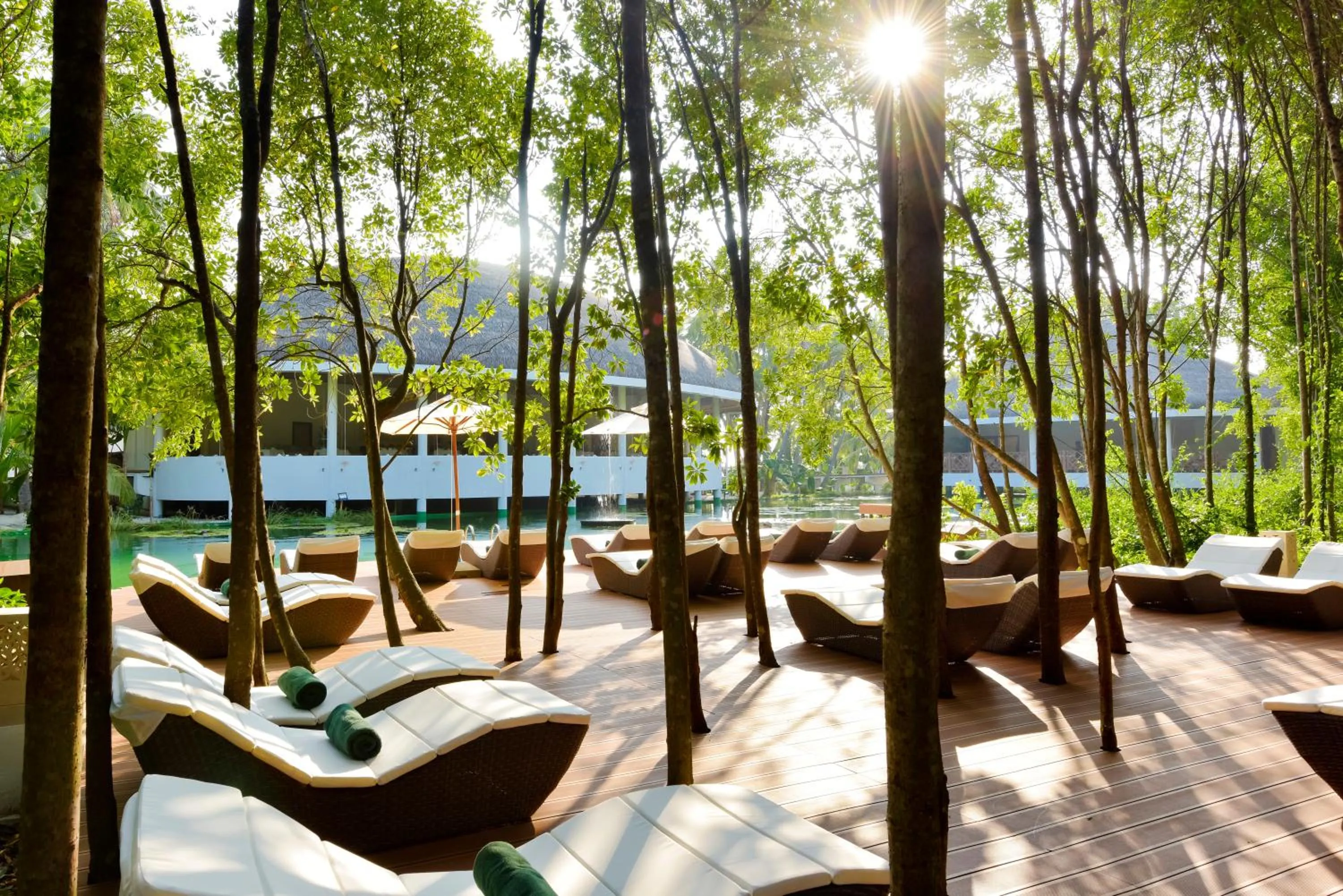 Pool view in Dreamland Maldives Resort