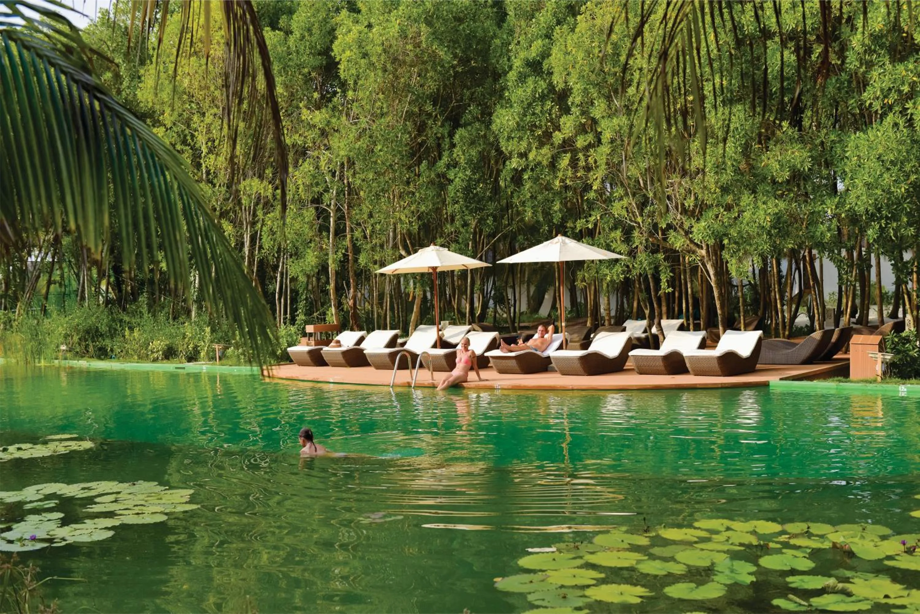 Swimming pool in Dreamland Maldives Resort