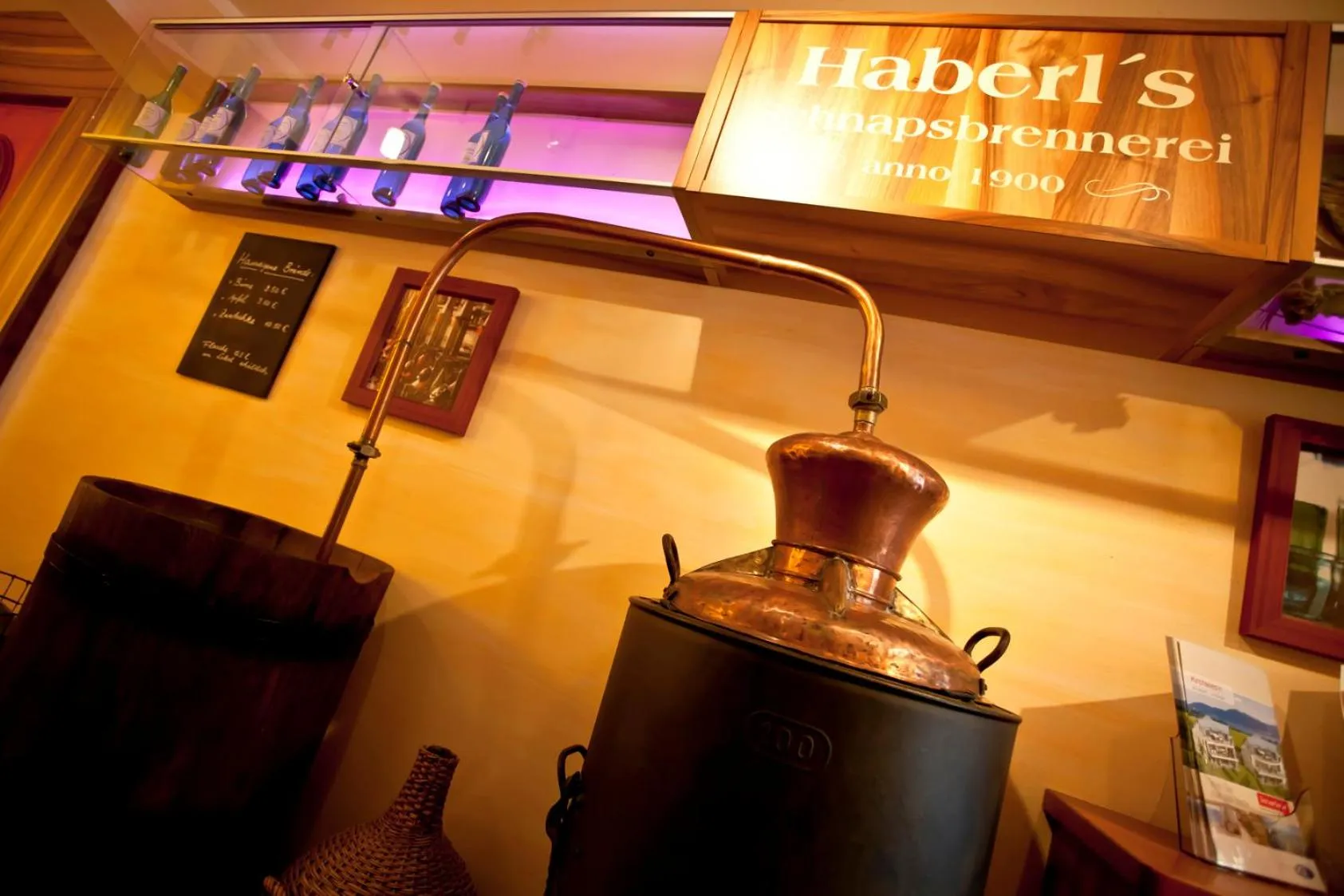 Area and facilities in Hotel Haberl - Attersee