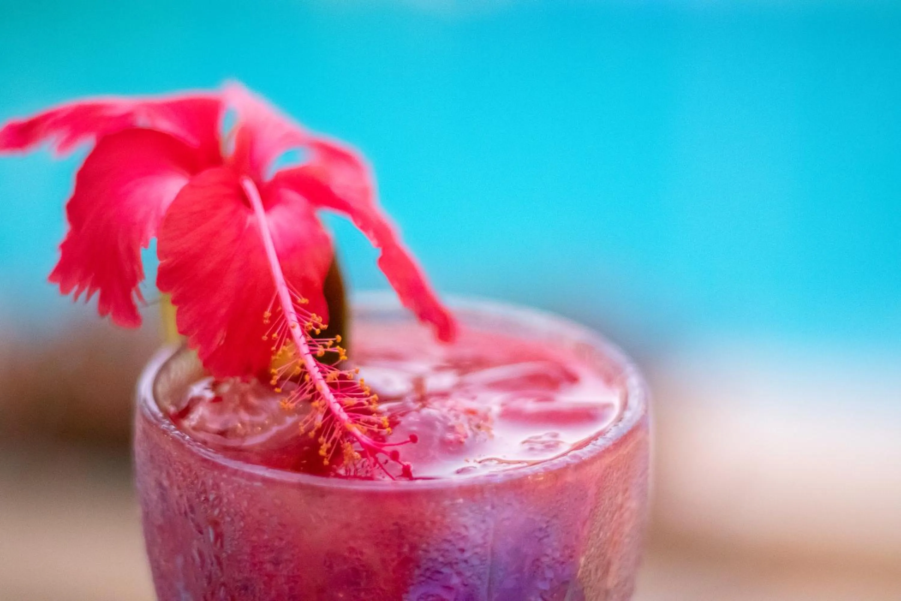 Food and drinks in Hotel de Charme Castelinho