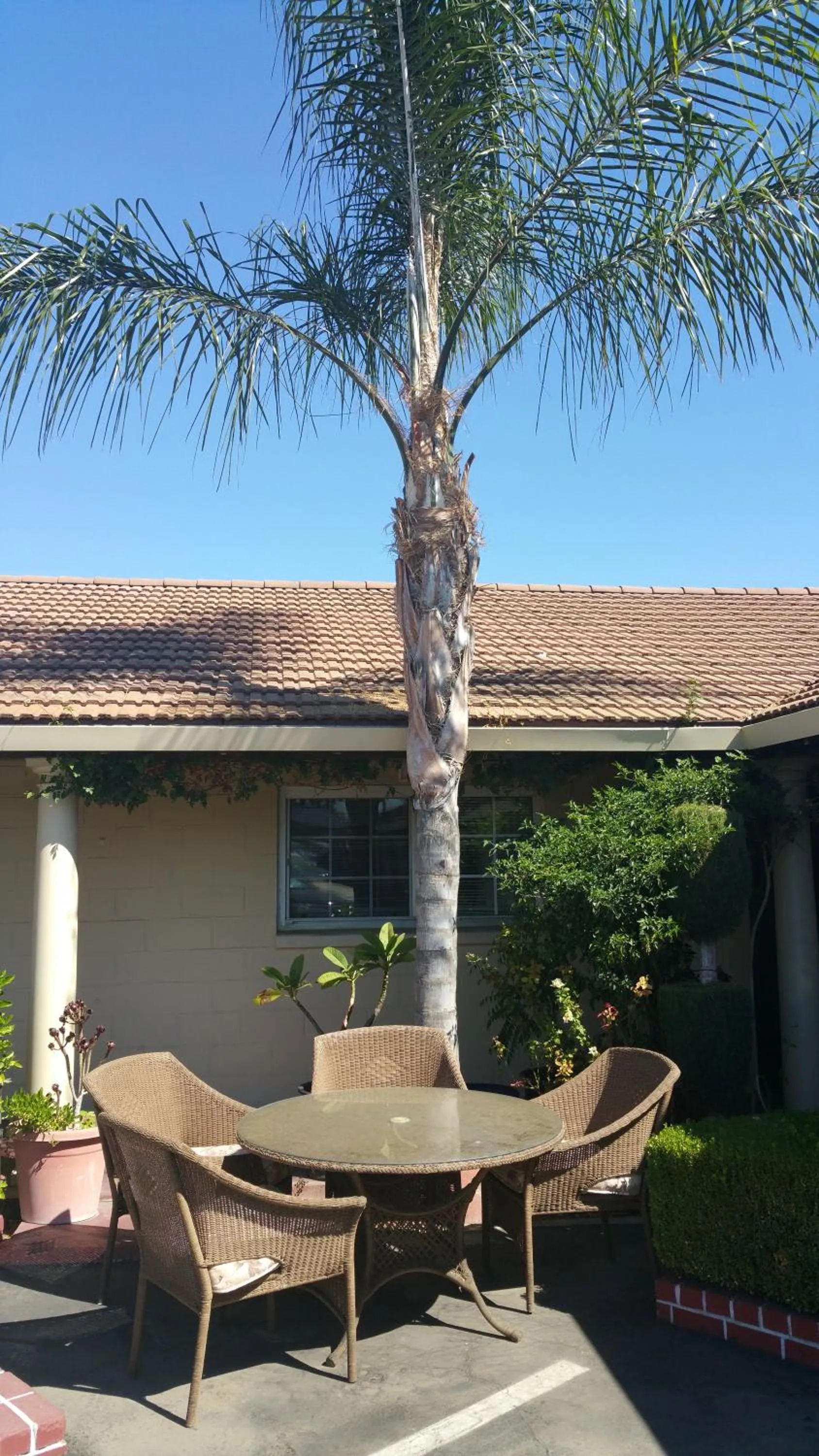 Patio in San Joaquin Motel