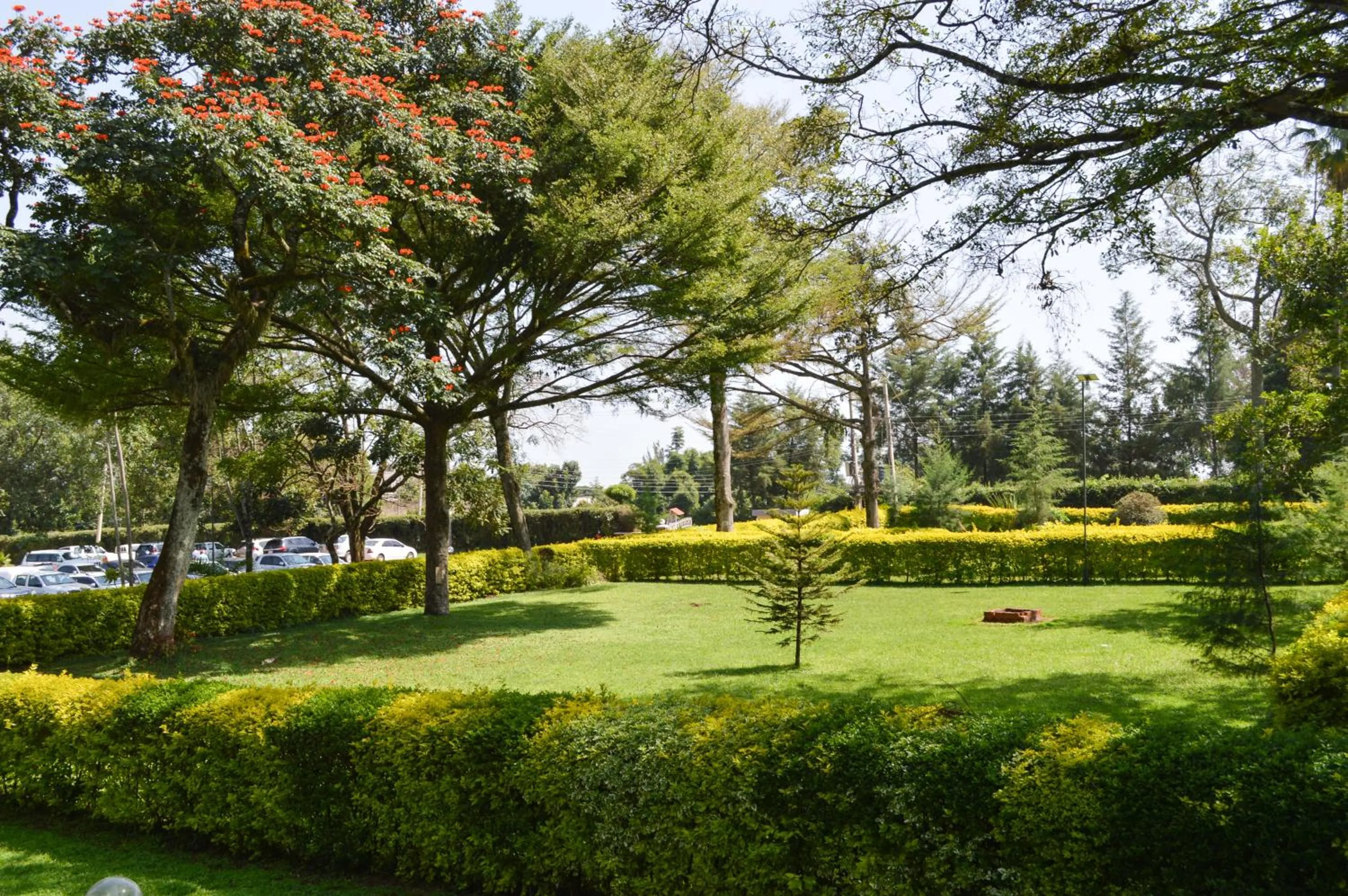 Natural landscape in Golf Hotel Kakamega