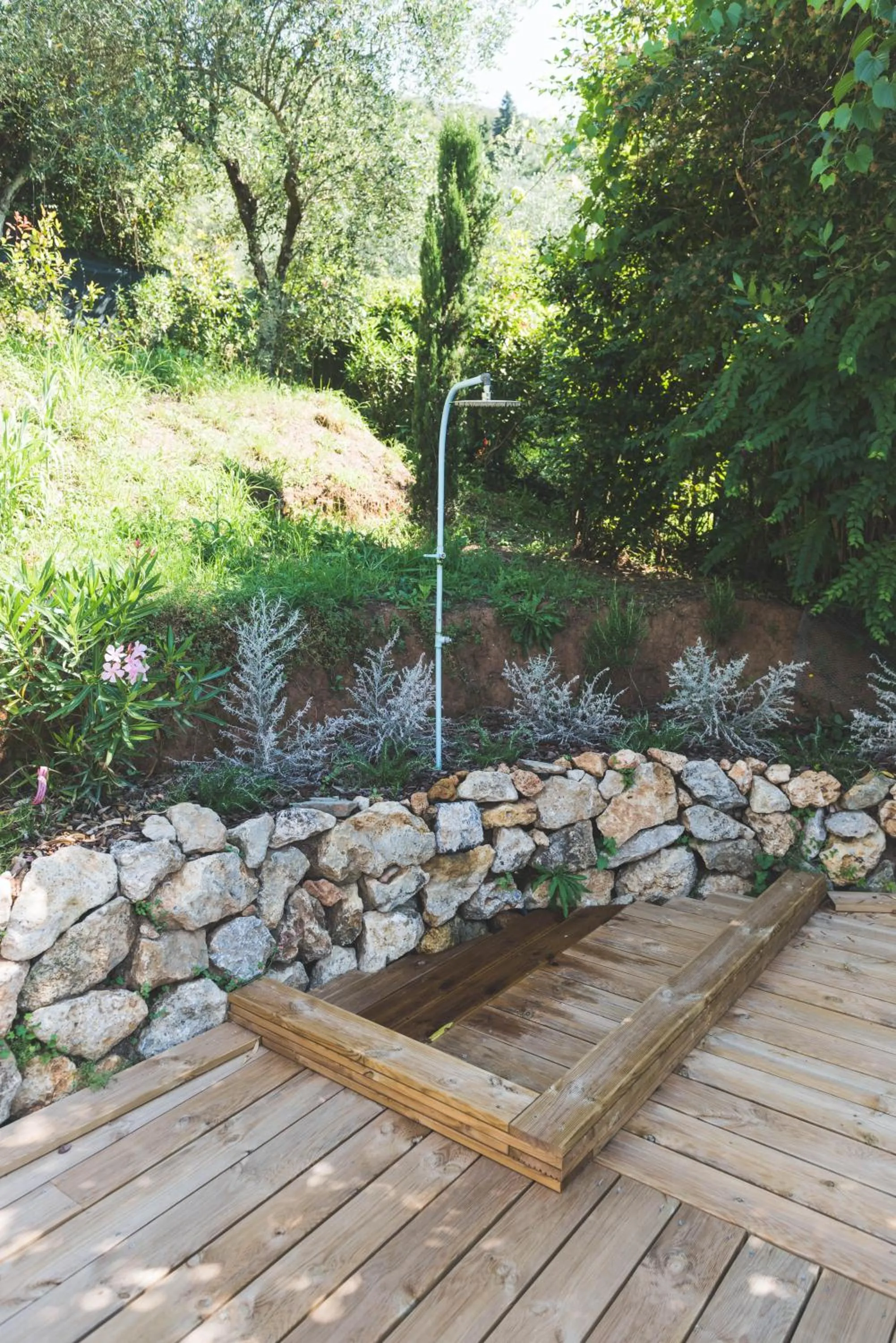 Exclusive beautiful pool house surrounded by greenery, modern, luxury finishes