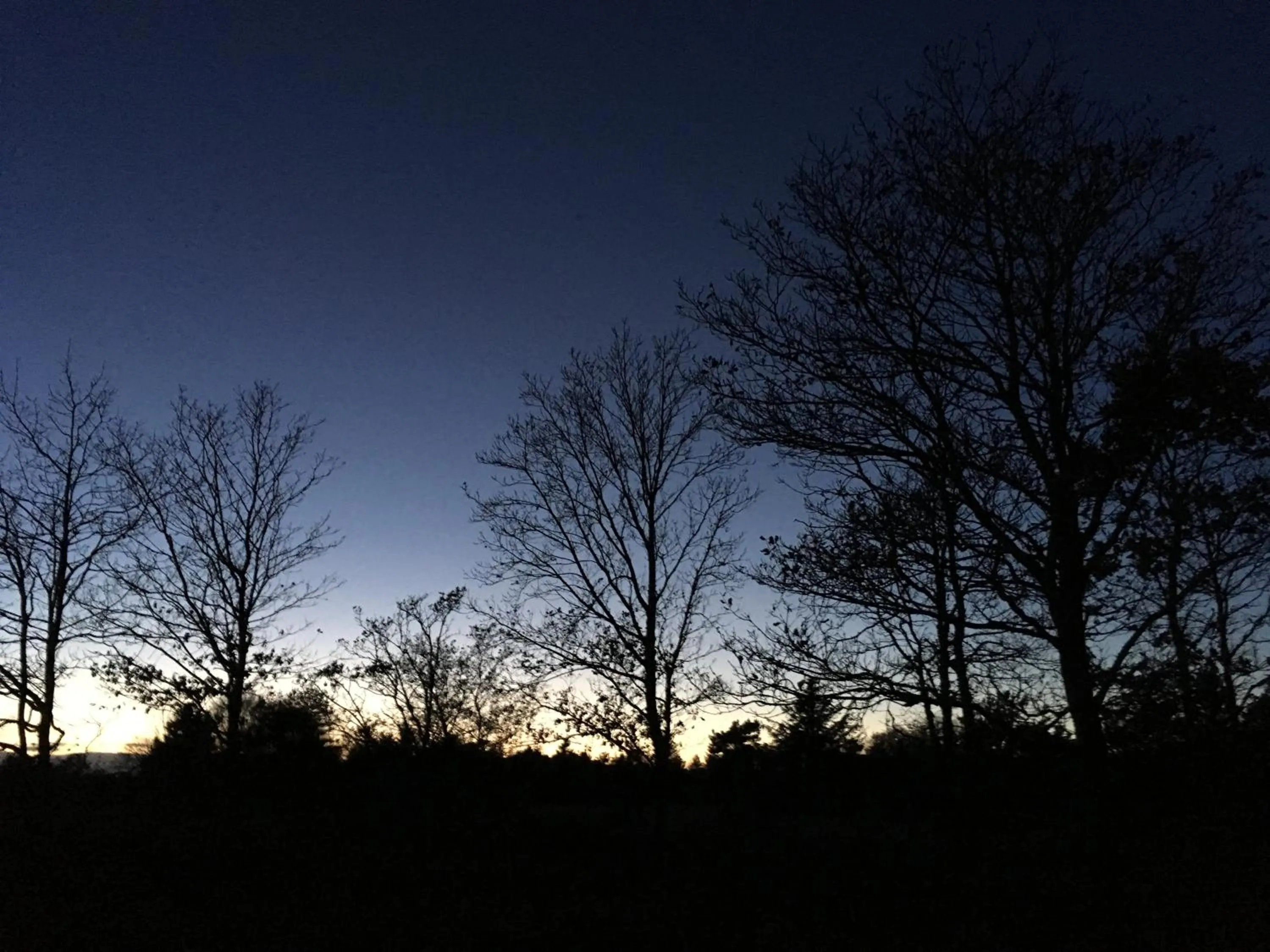 Natural landscape in Hotel Hvide Klit