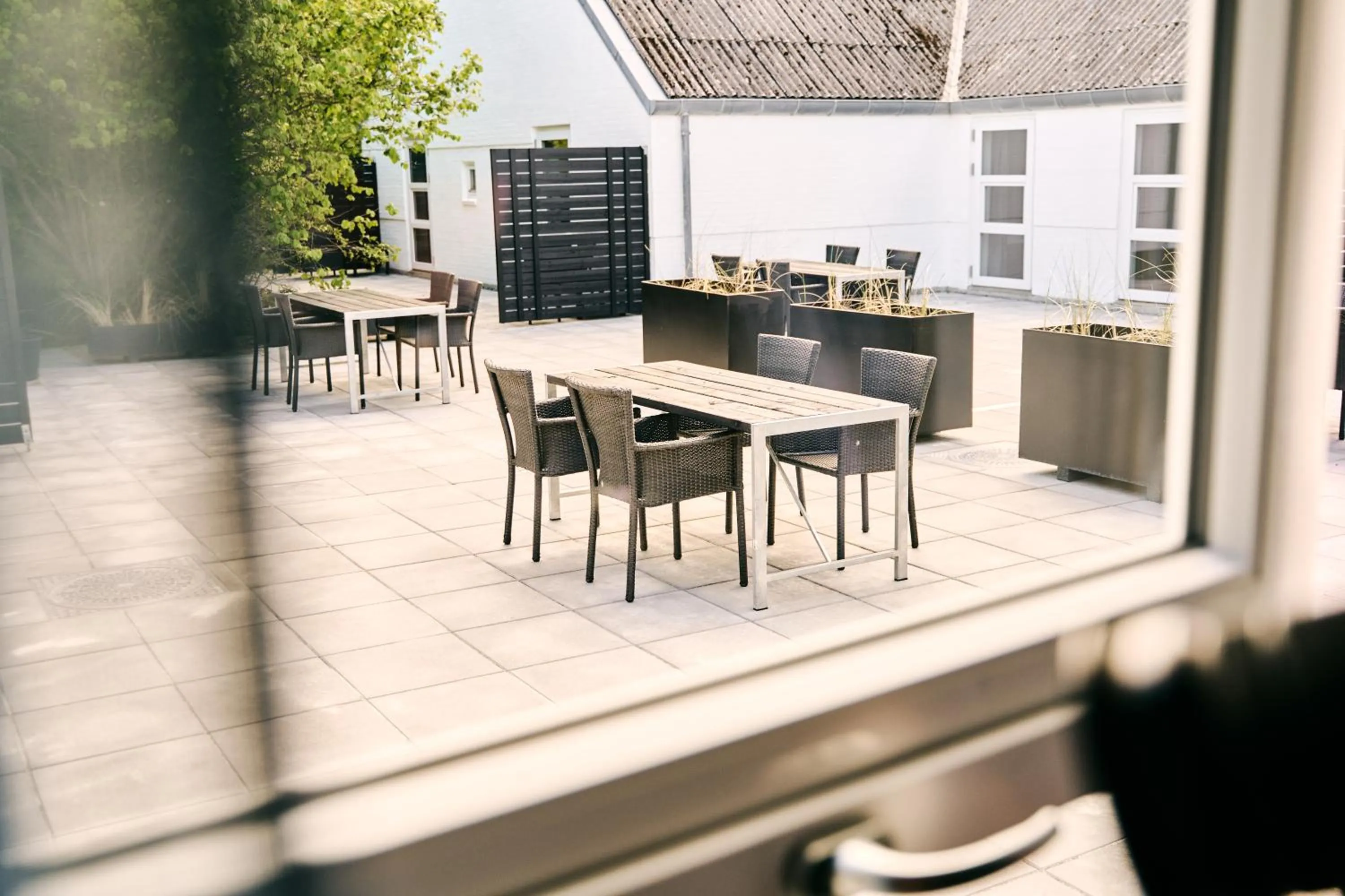 View (from property/room) in Hotel Hvide Klit