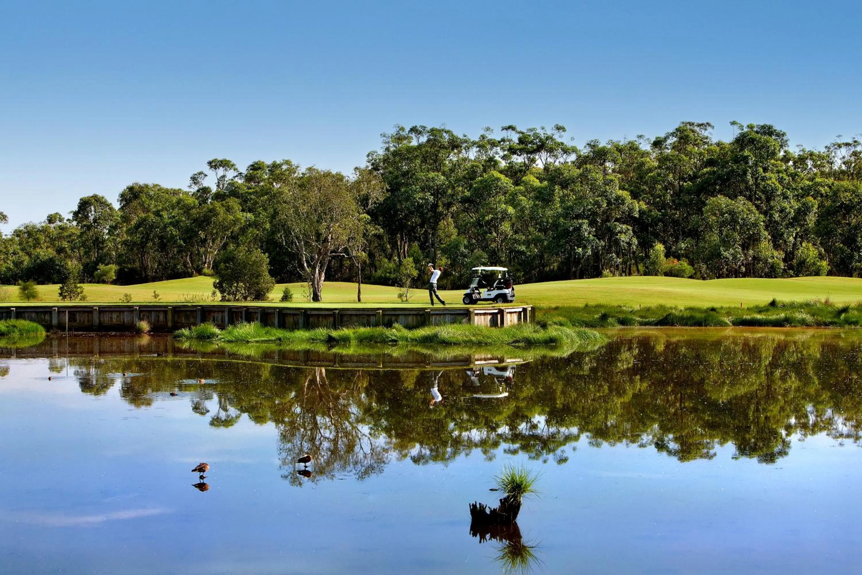 Golfcourse in Mercure Kooindah Waters Central Coast