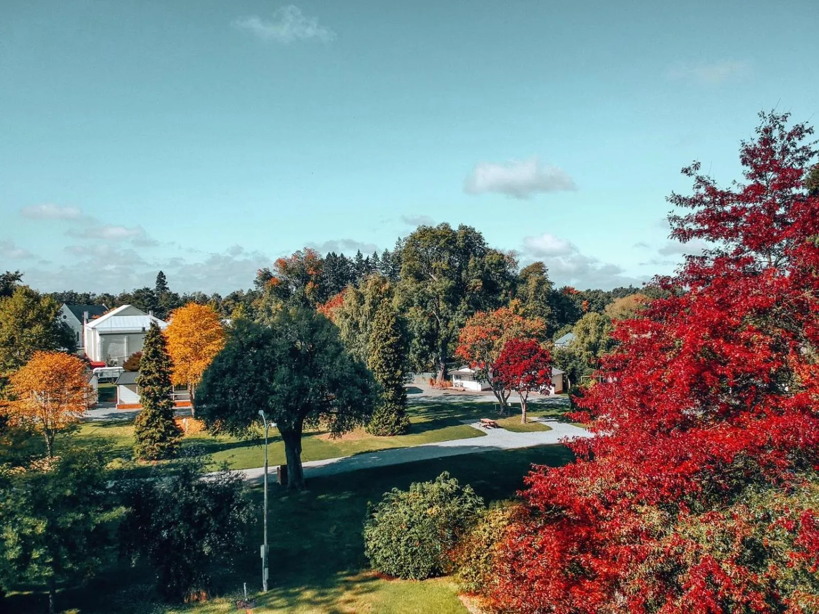 Garden view in Geraldine TOP 10 Holiday Park
