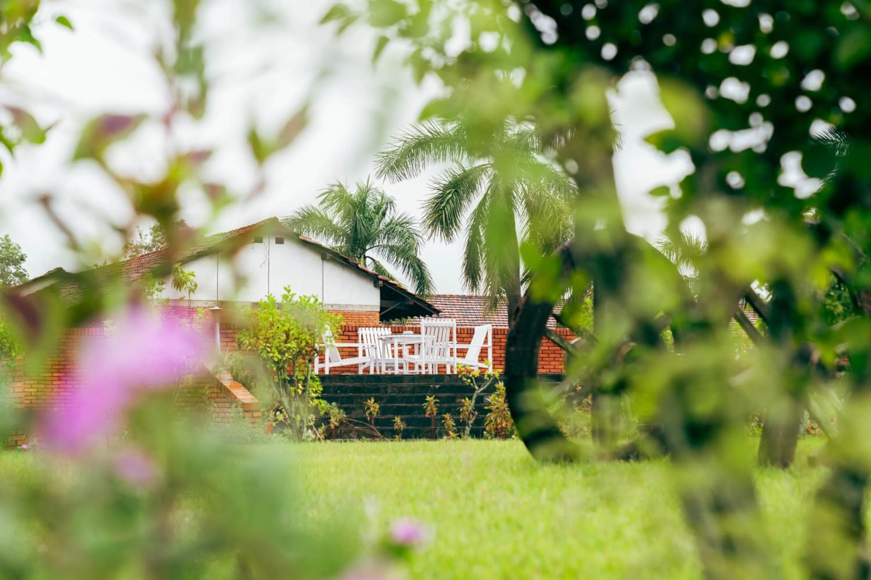Garden in Hokke Lumbini