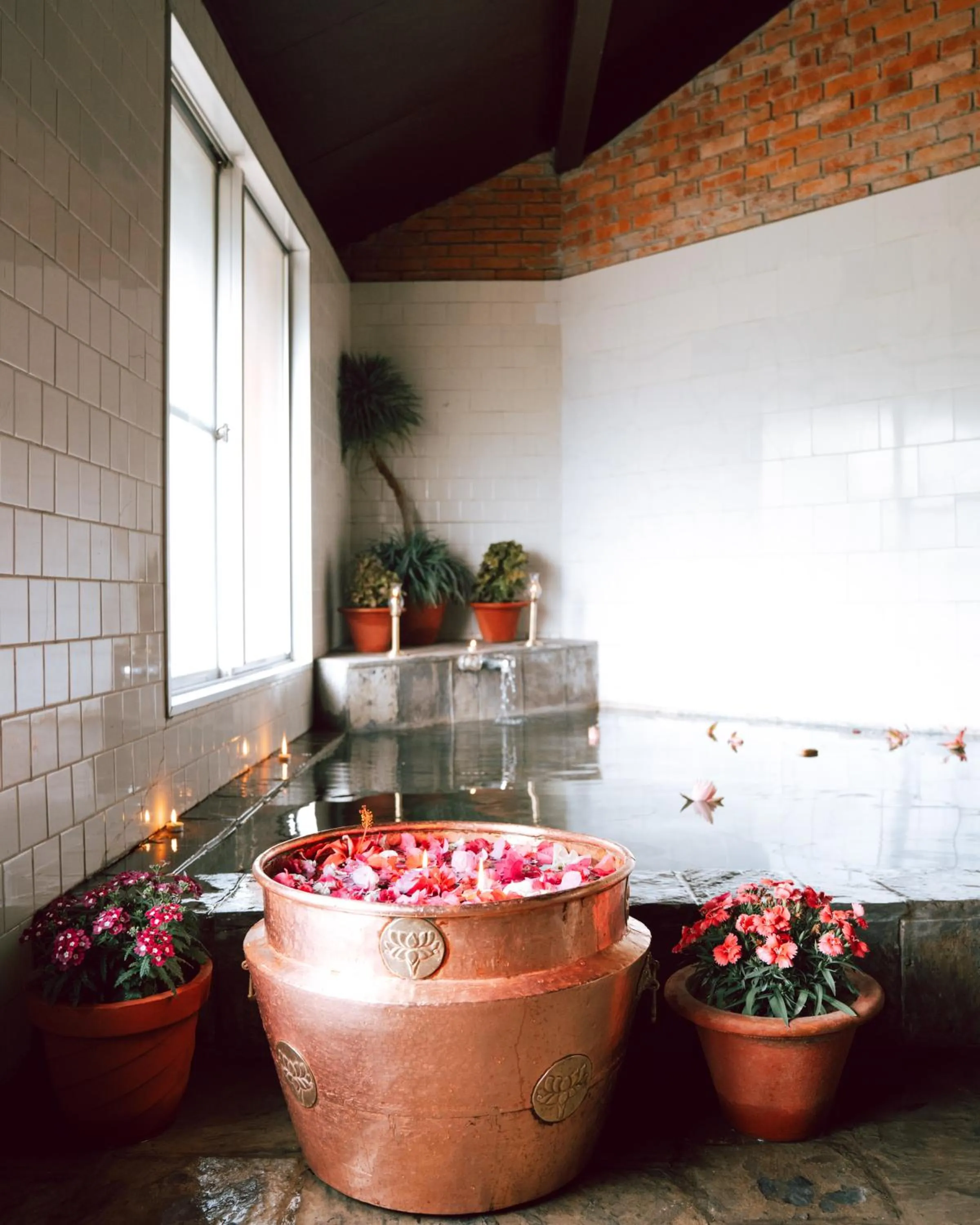 Hot Spring Bath in Hokke Lumbini