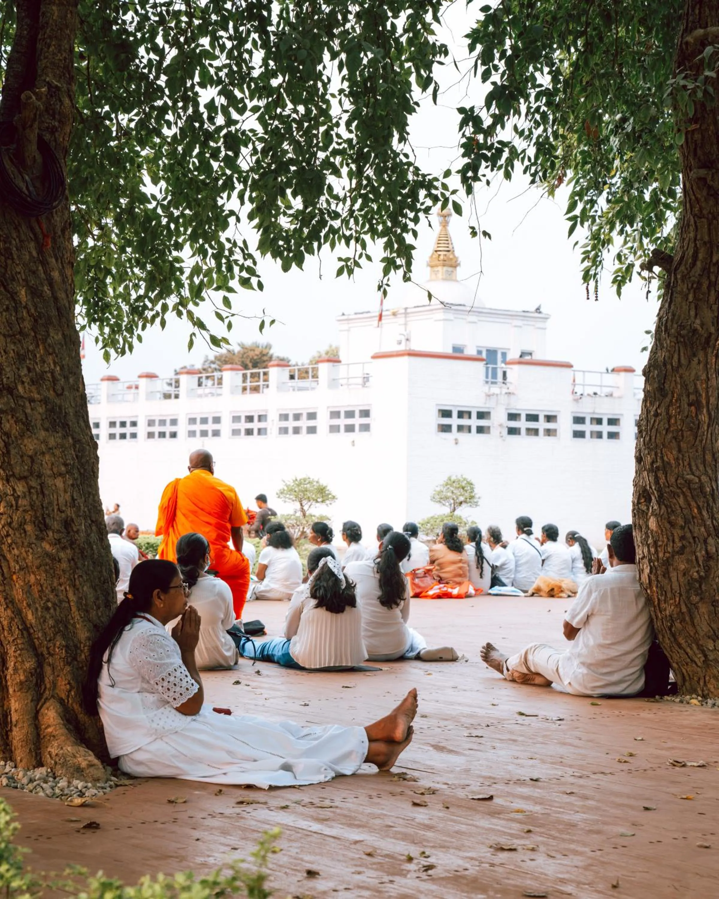 Day in Hokke Lumbini