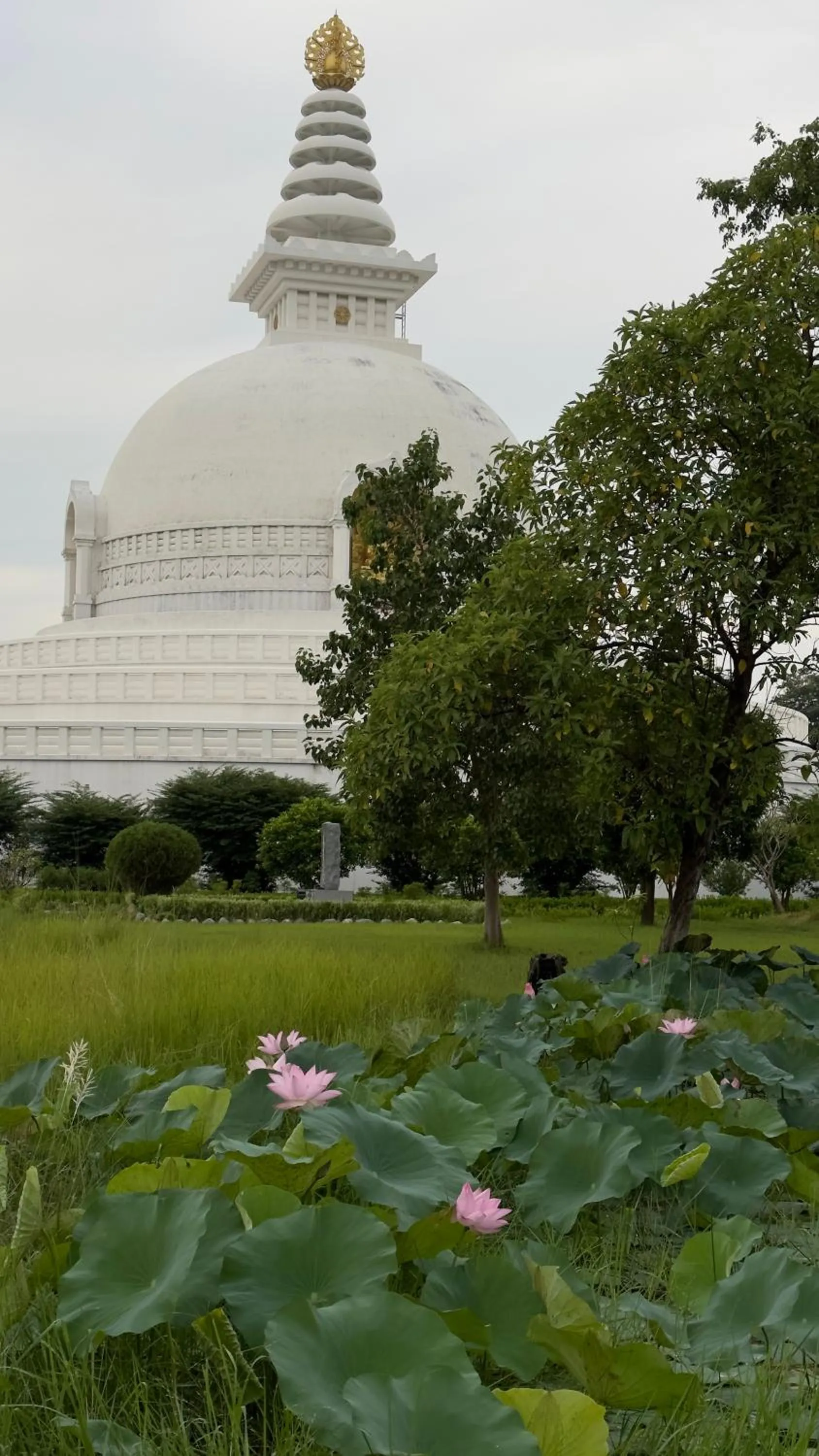 Day in Hokke Lumbini