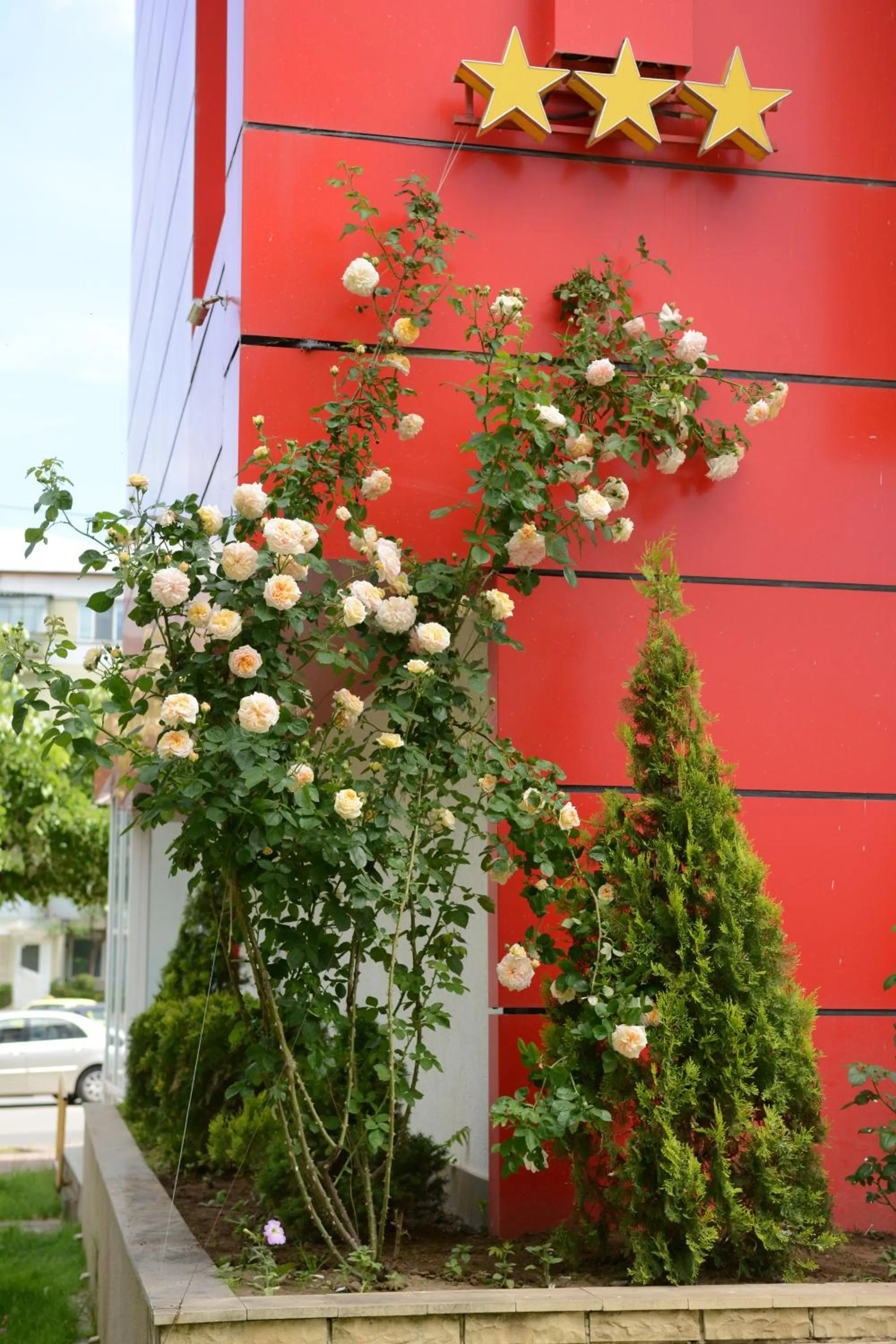 Decorative detail in Hotel Select