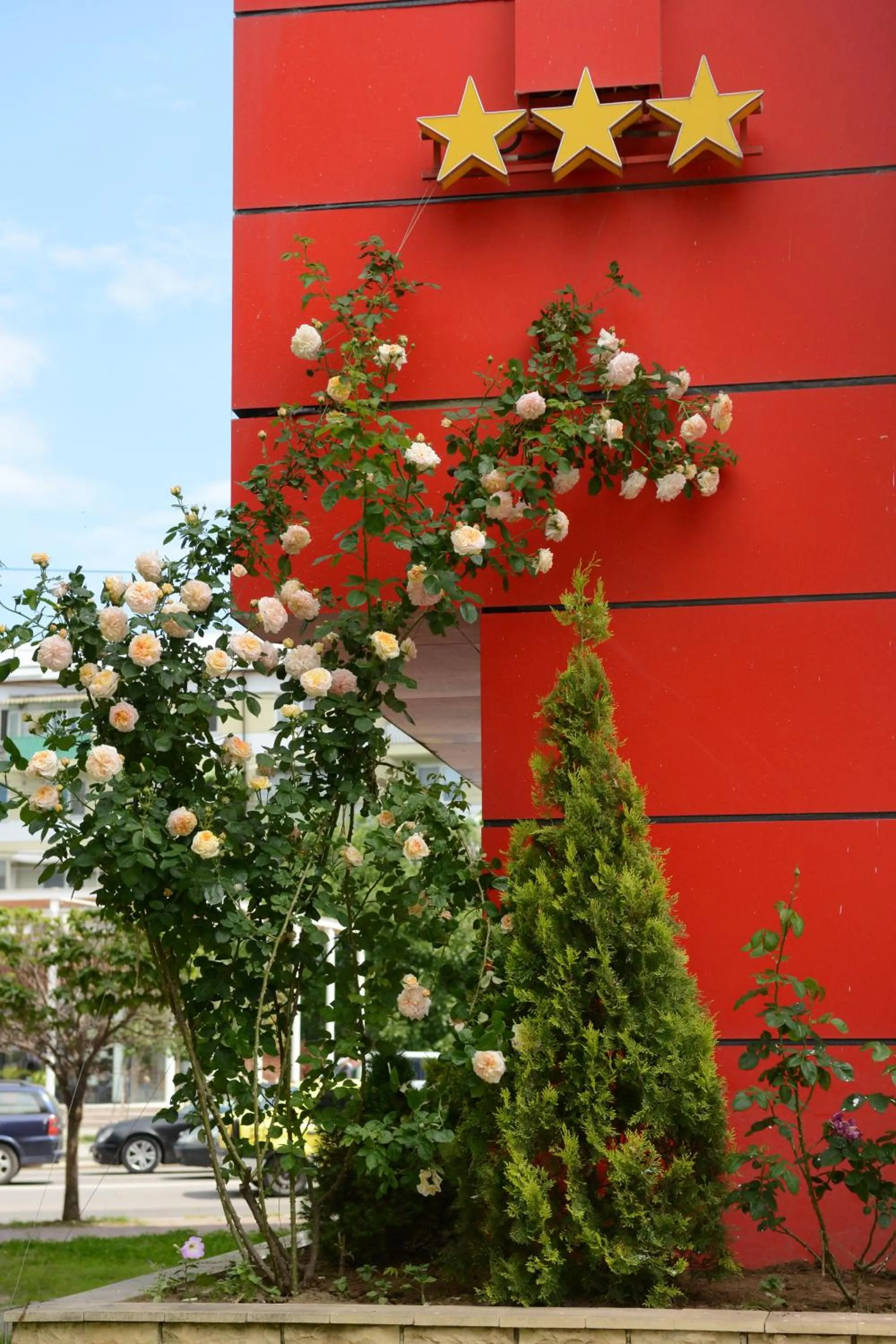 Decorative detail in Hotel Select