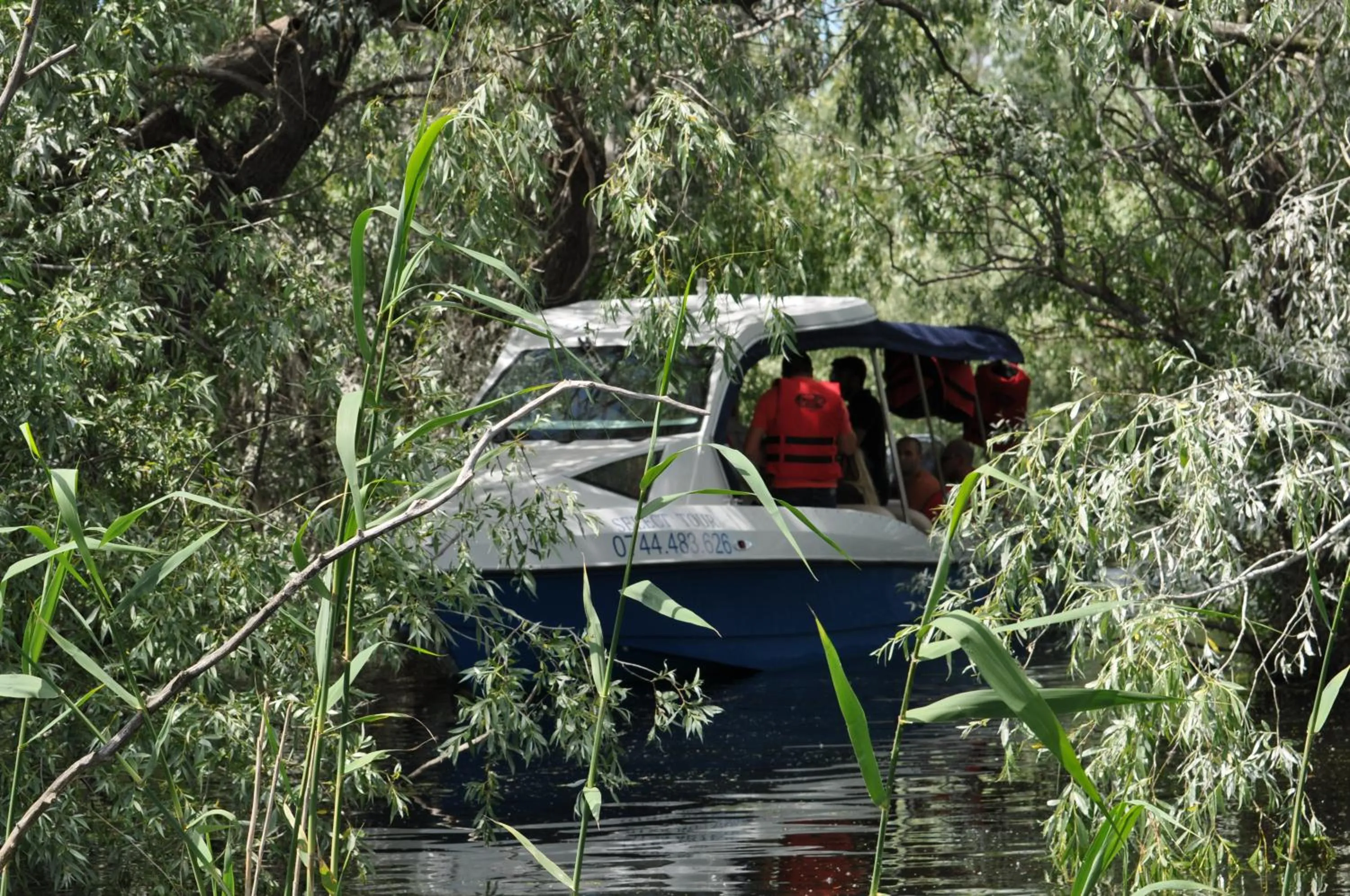 Activities in Hotel Select