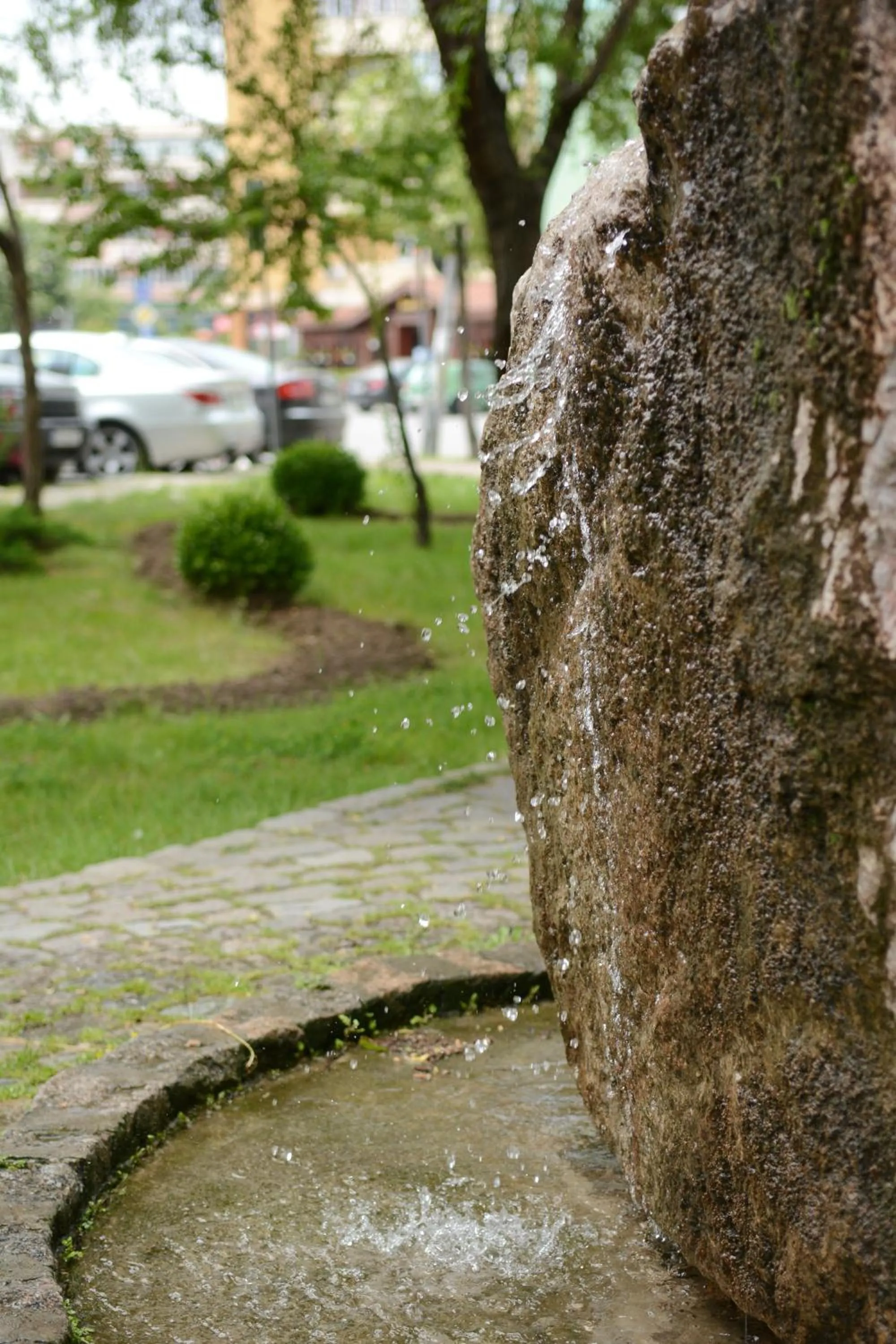 Garden view in Hotel Select