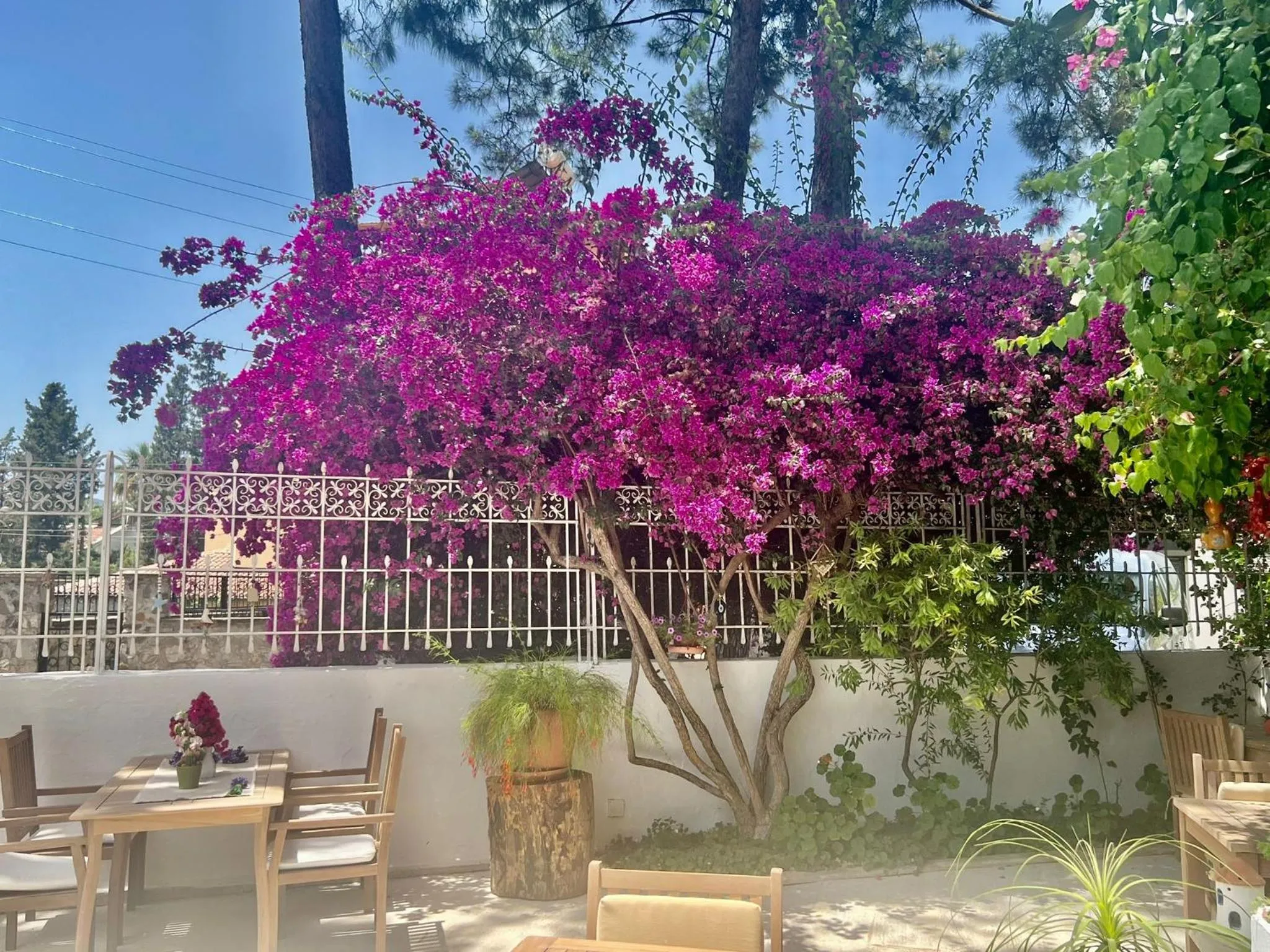 Seating area in Carikci Hotel
