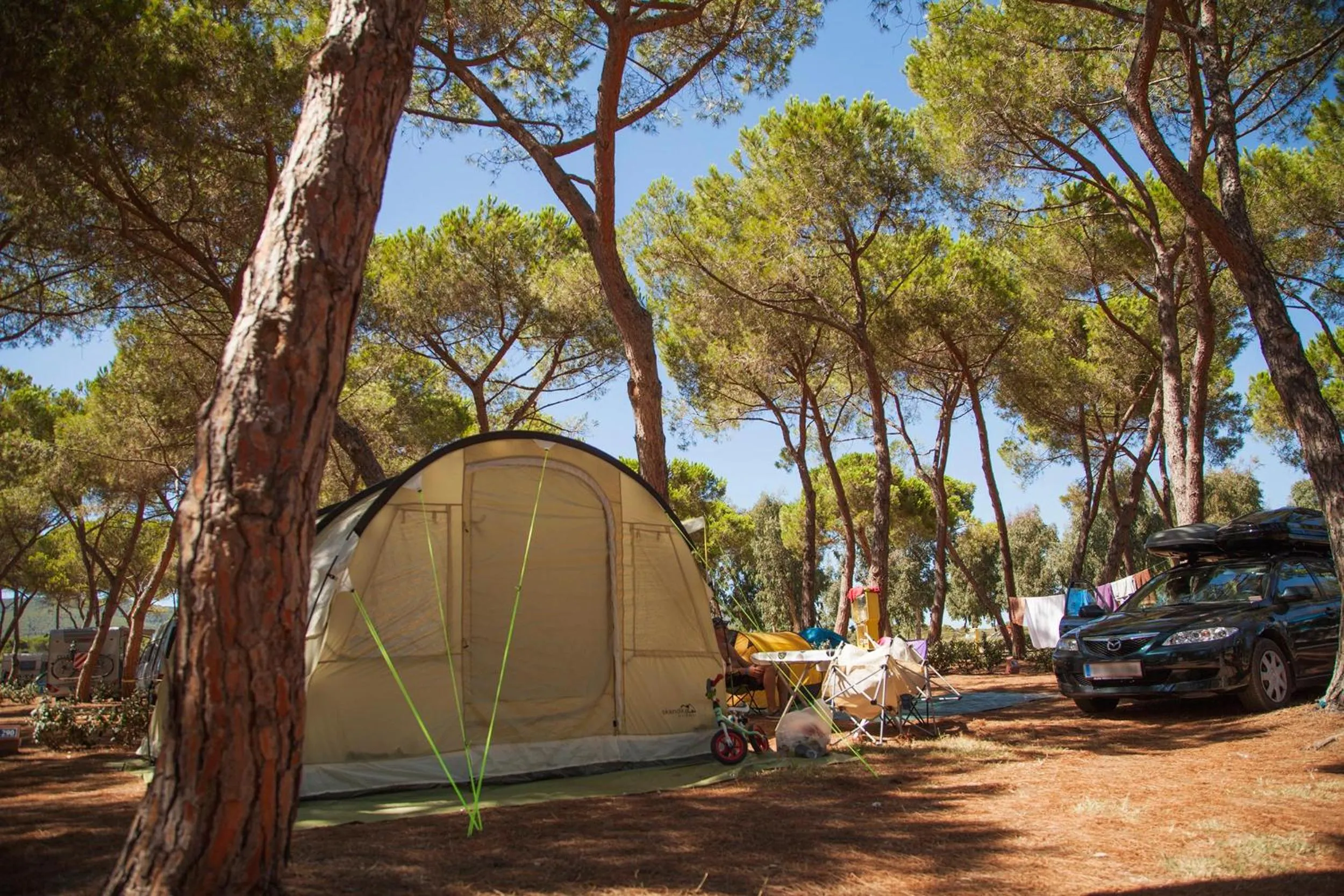 Natural landscape in Camping Village Laguna Blu