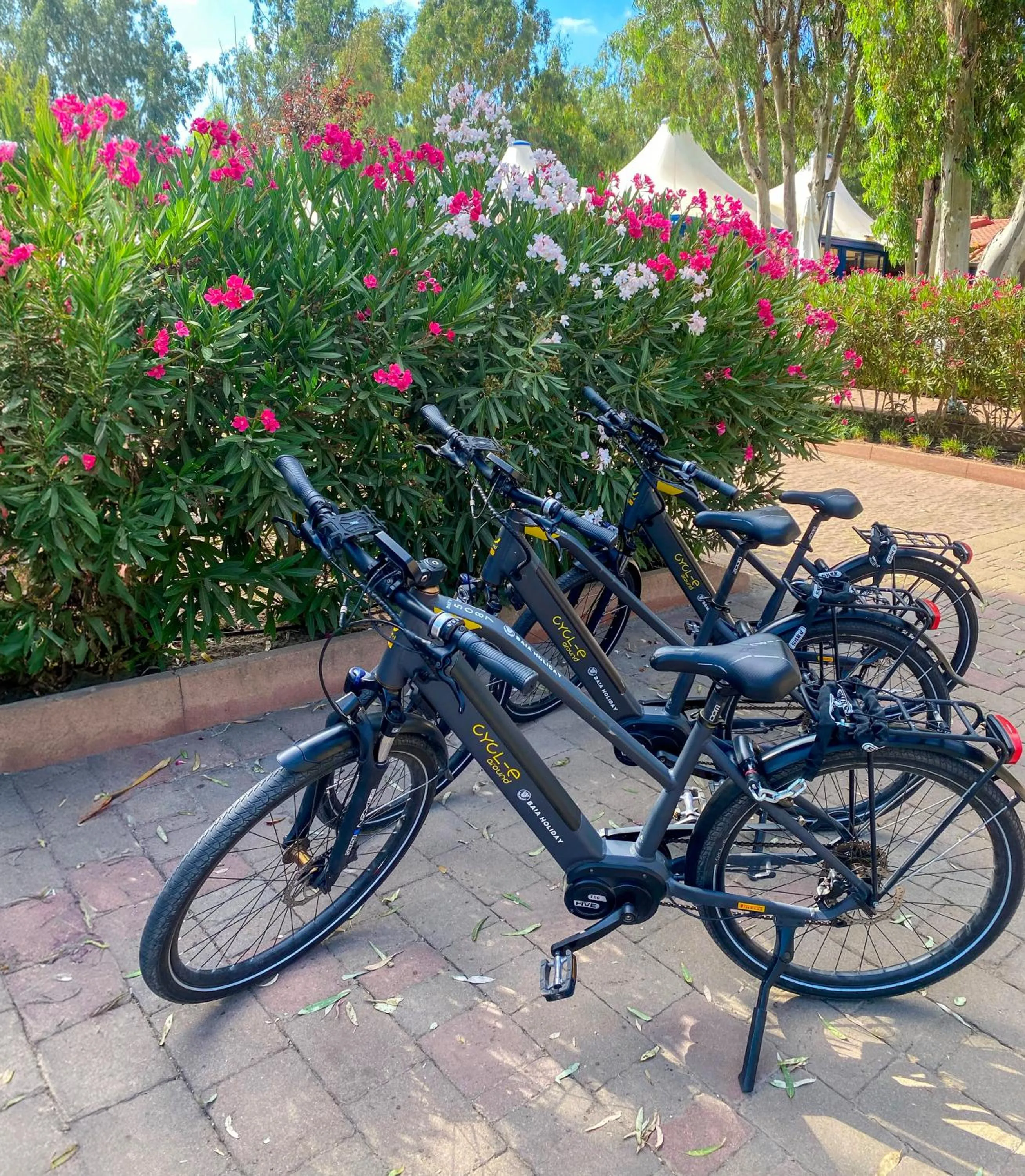 Cycling in Camping Village Laguna Blu