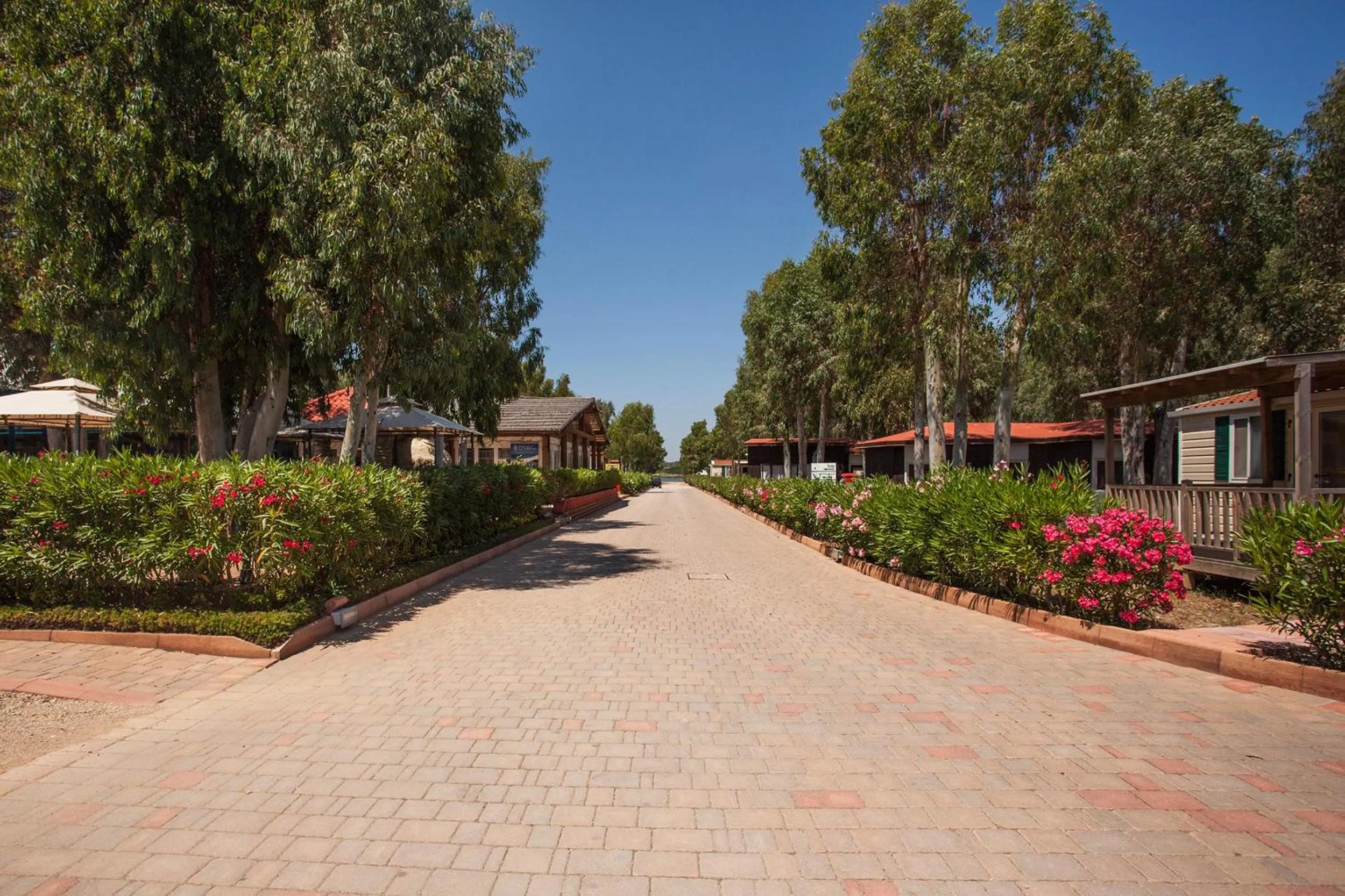 Garden view in Camping Village Laguna Blu