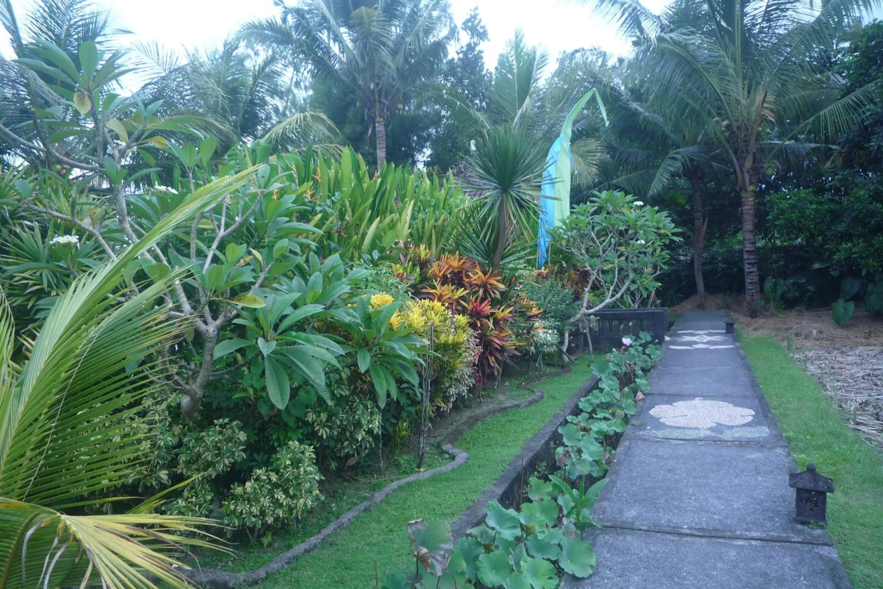 Garden view in Gerebig Bungalow