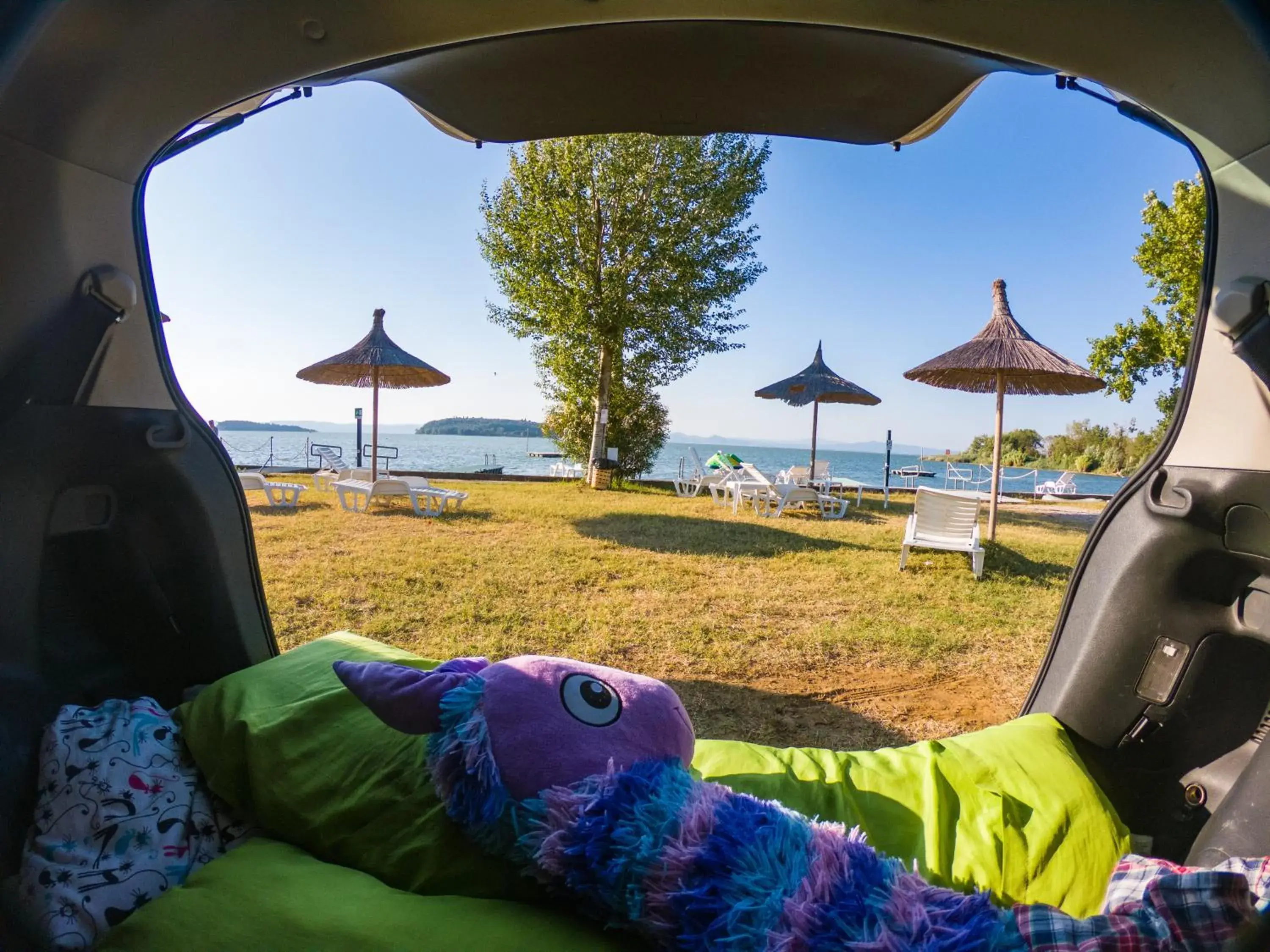 Empty Spot (Bring your own Tent) in Camping Village Punta Navaccia Empty Spot (Bring your own Tent) in Camping Village Punta Navaccia