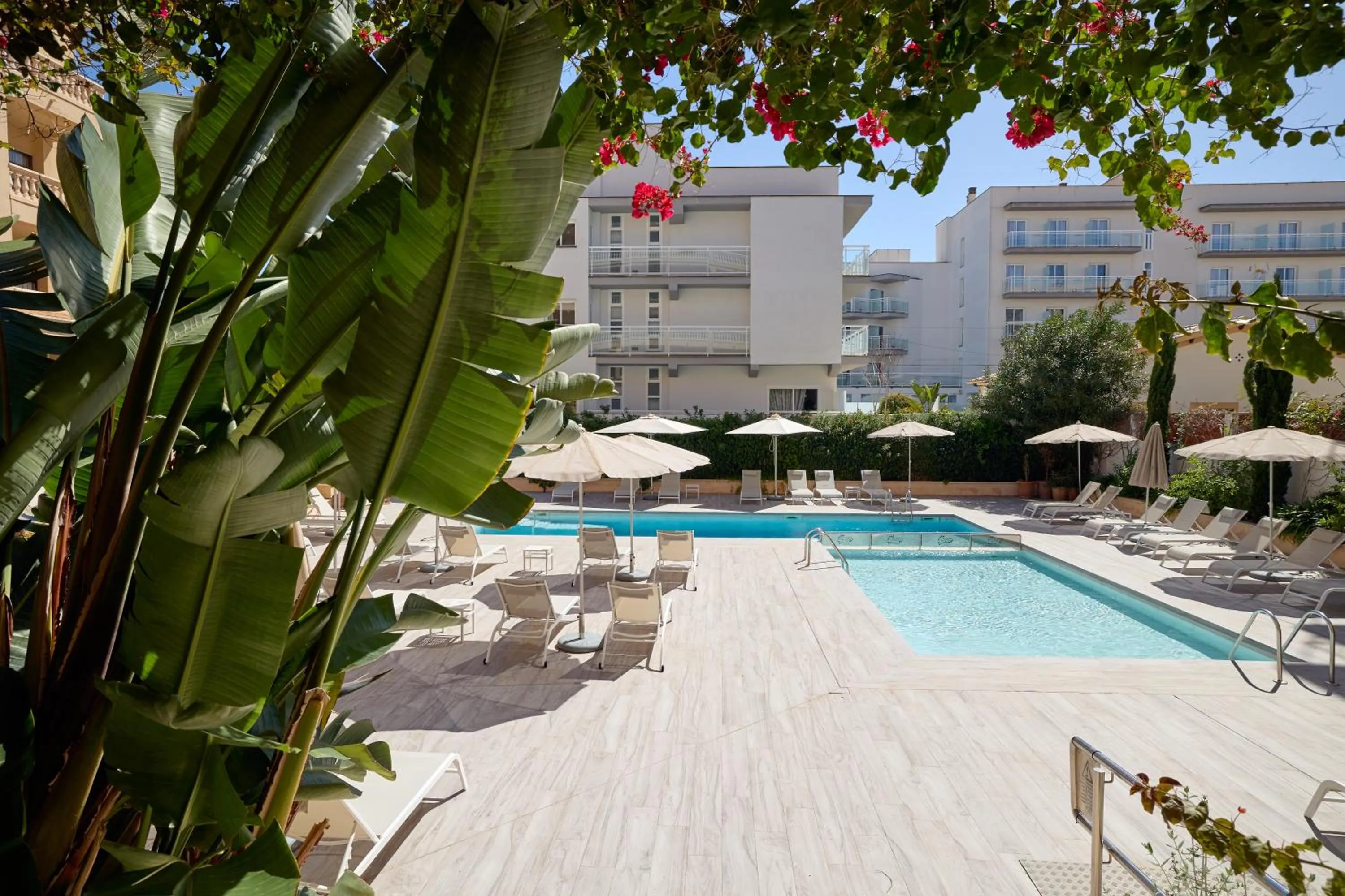 Garden in Apartamentos Isla del Sol