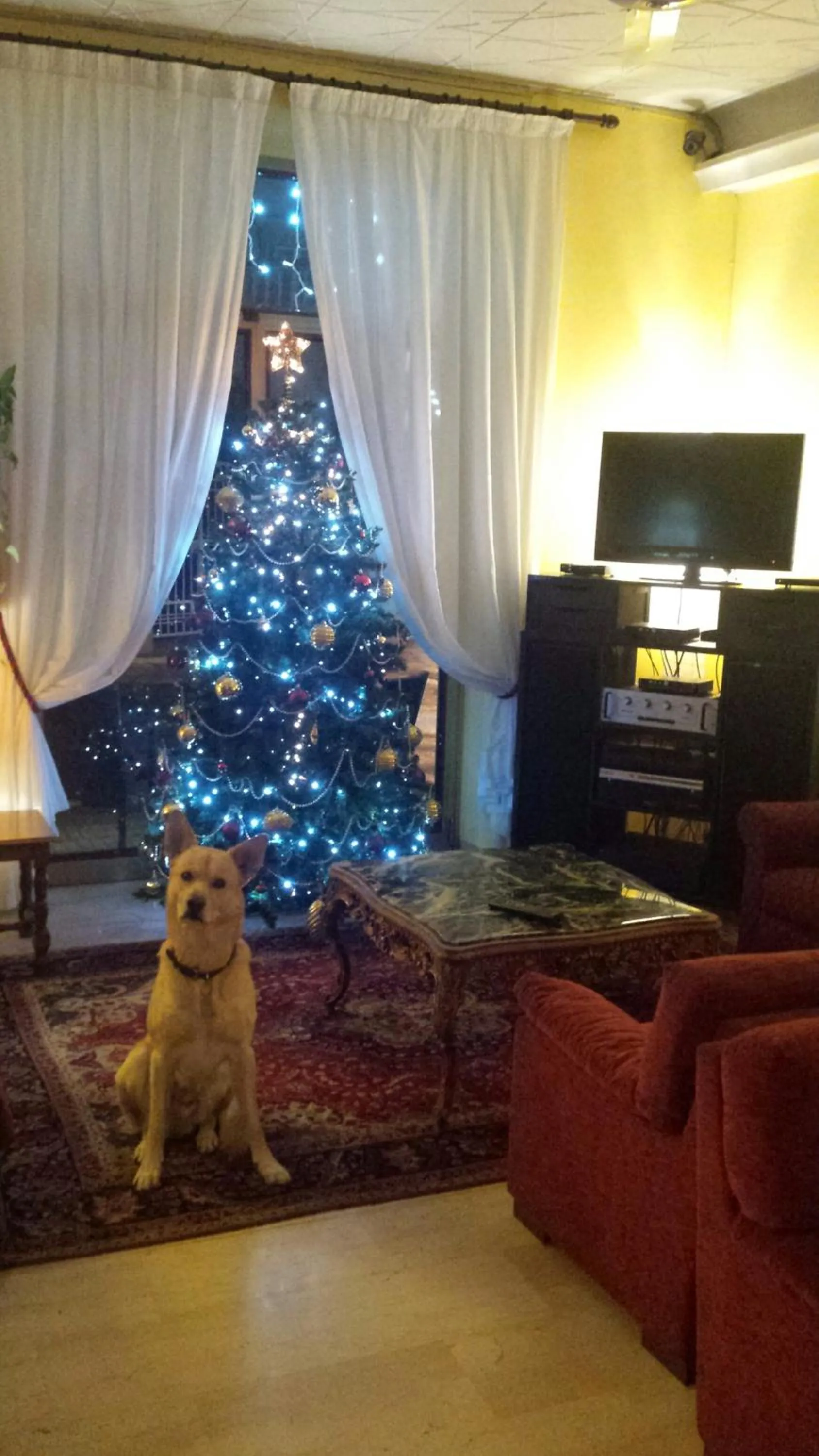 Lobby or reception in Hotel Florida