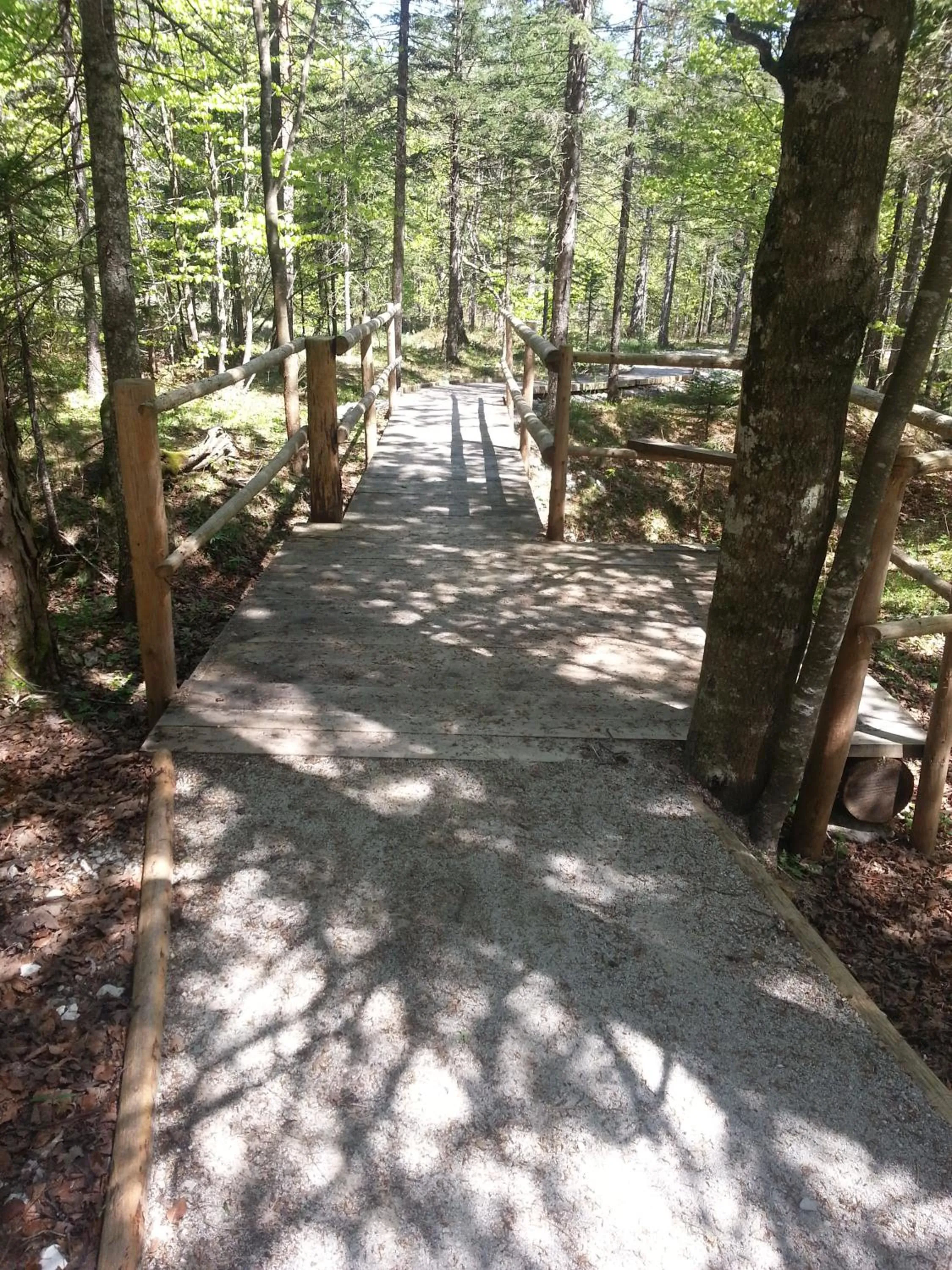 Day in Hotel Plesnik Logar Valley