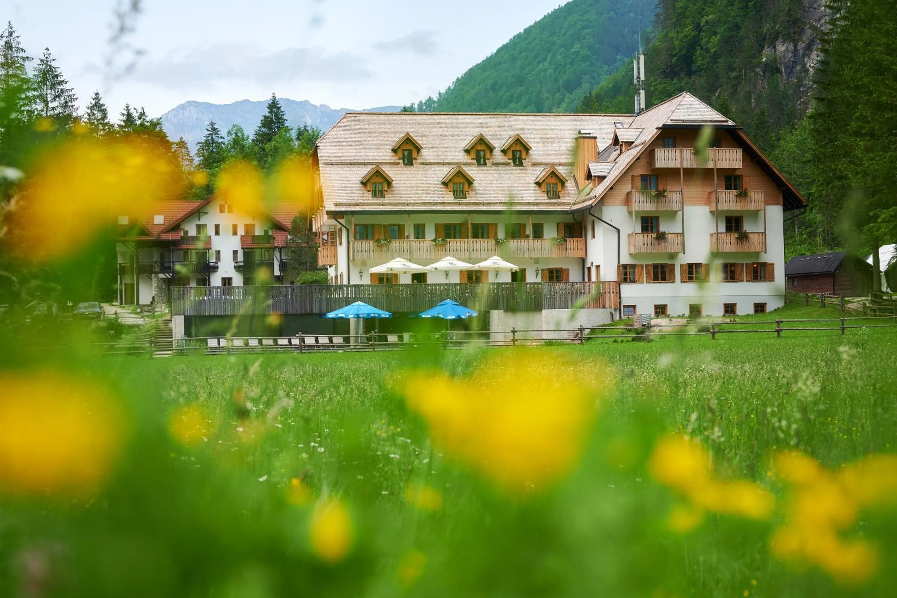Hotel Plesnik Logar Valley