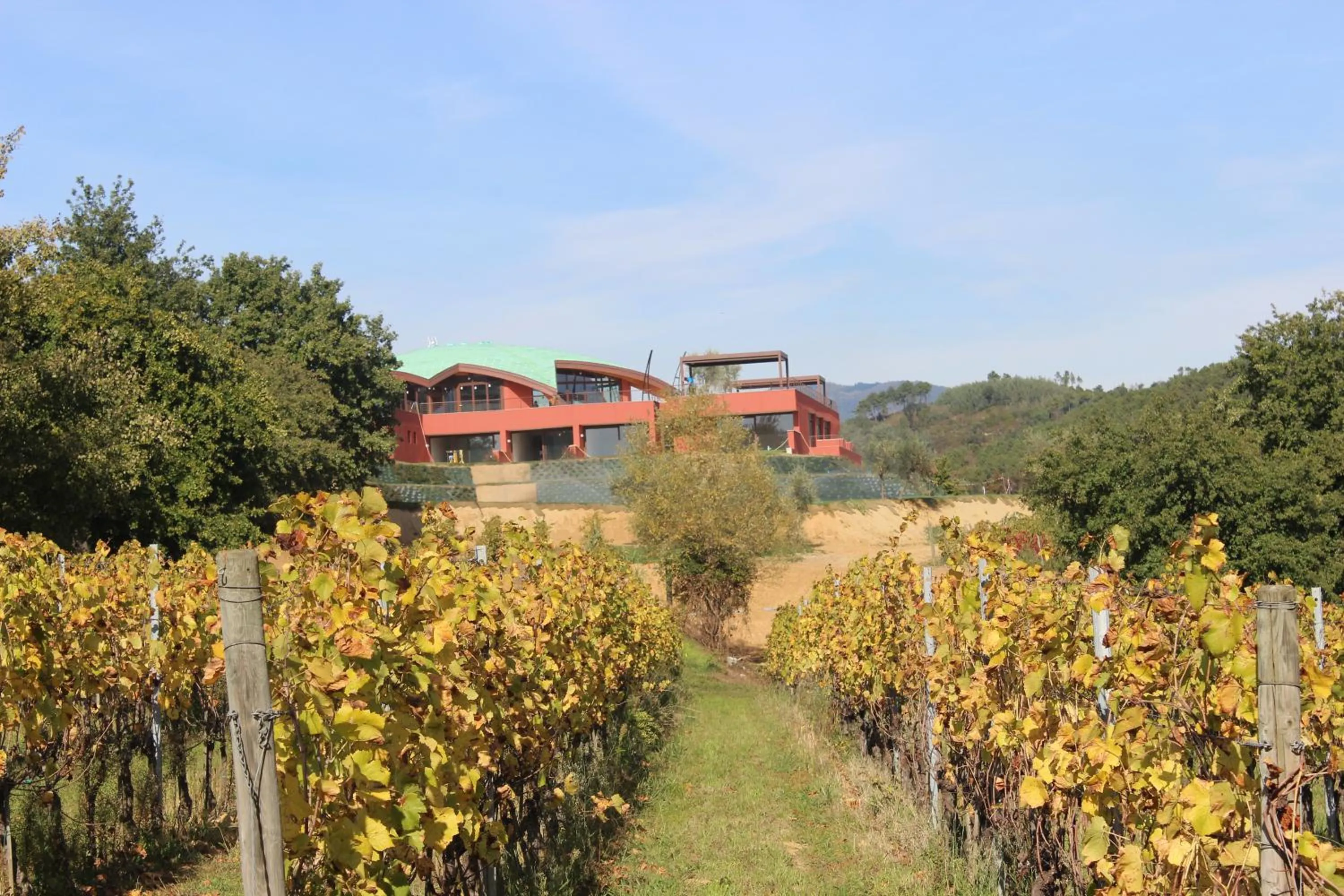View (from property/room) in Buonamico Wine Resort