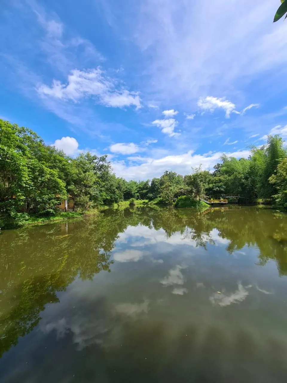 River view in Jungle King Resort
