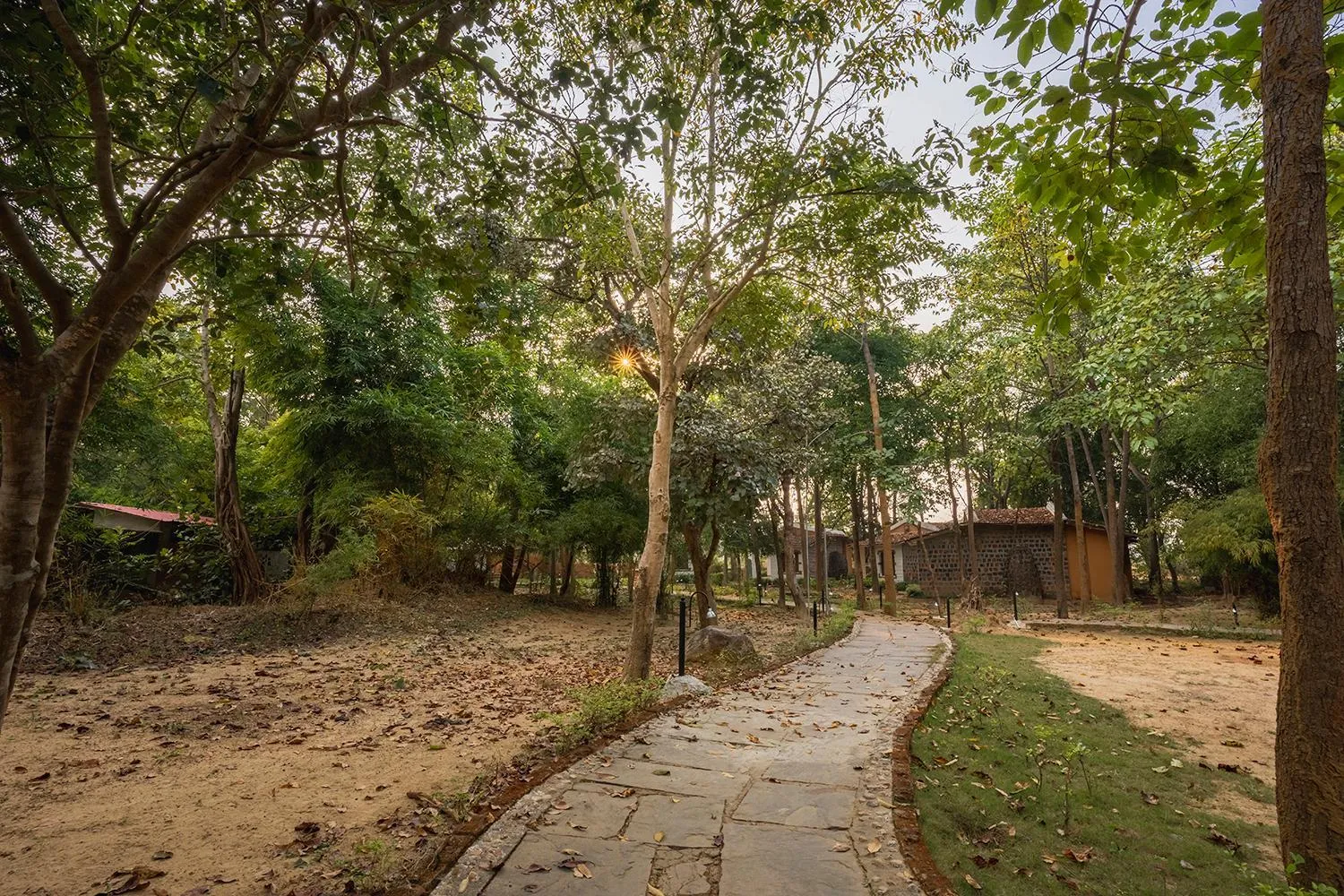 Street view in Jungle King Resort
