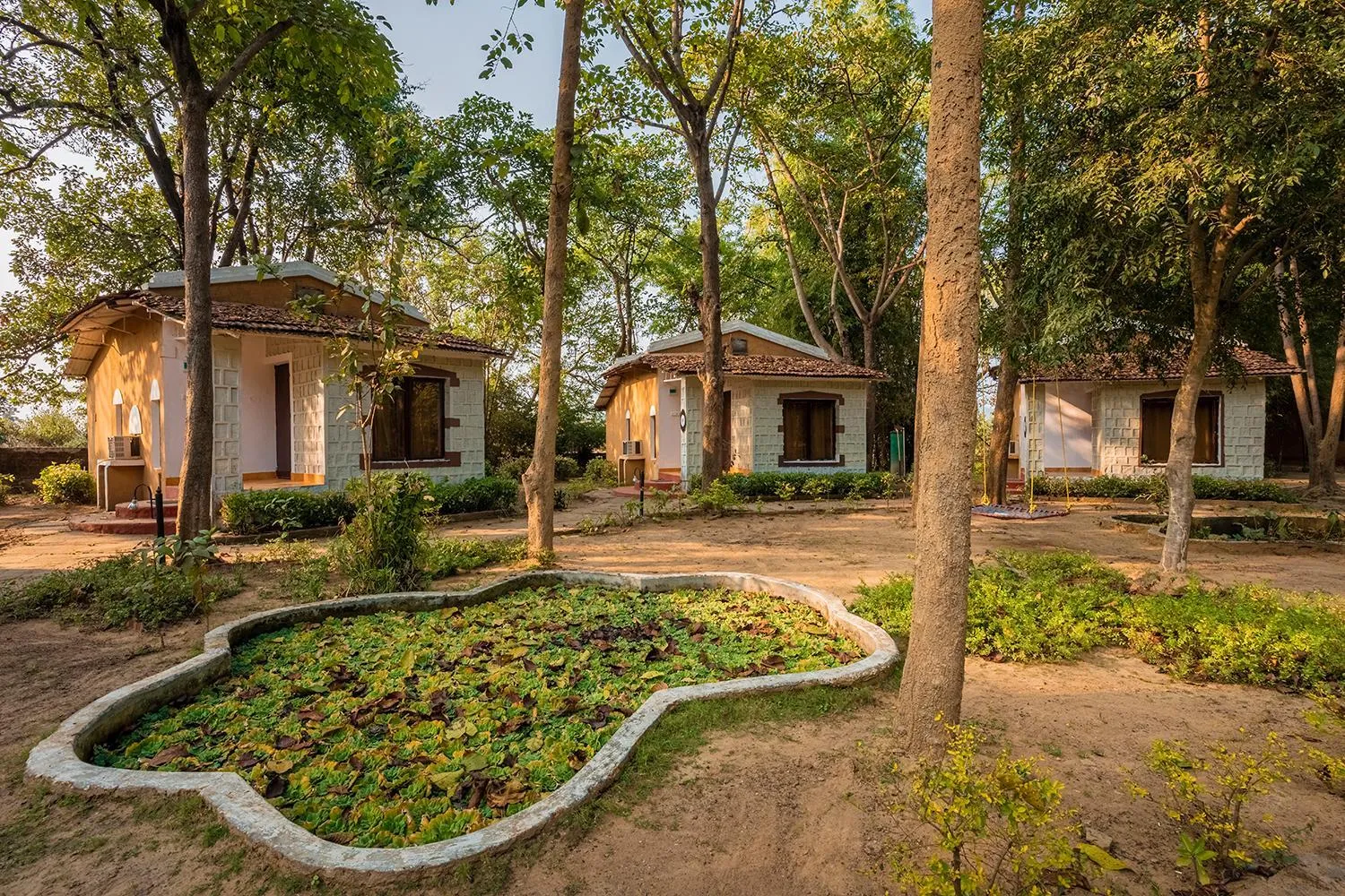 Garden view in Jungle King Resort