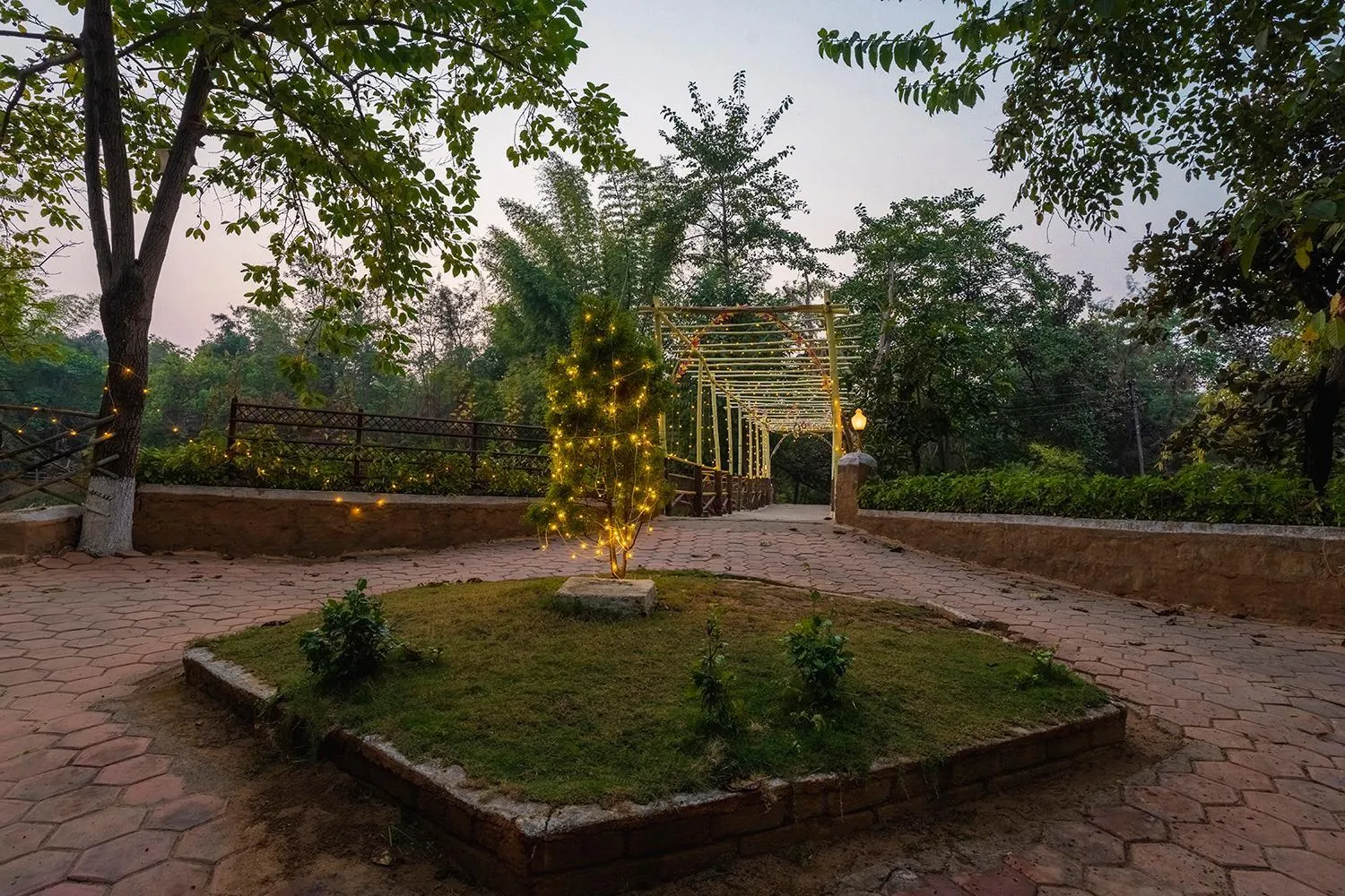 Lake view in Jungle King Resort