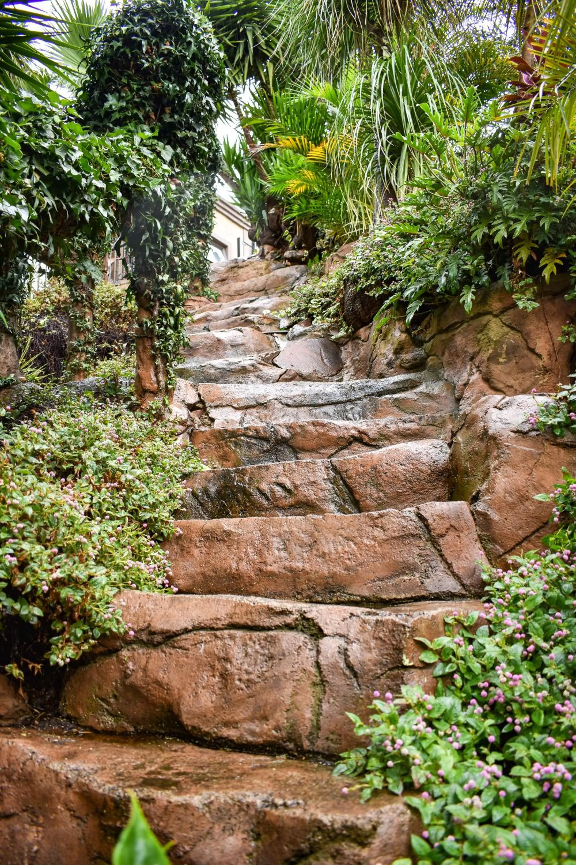 Natural landscape in Waterfalls Boutique Hotel