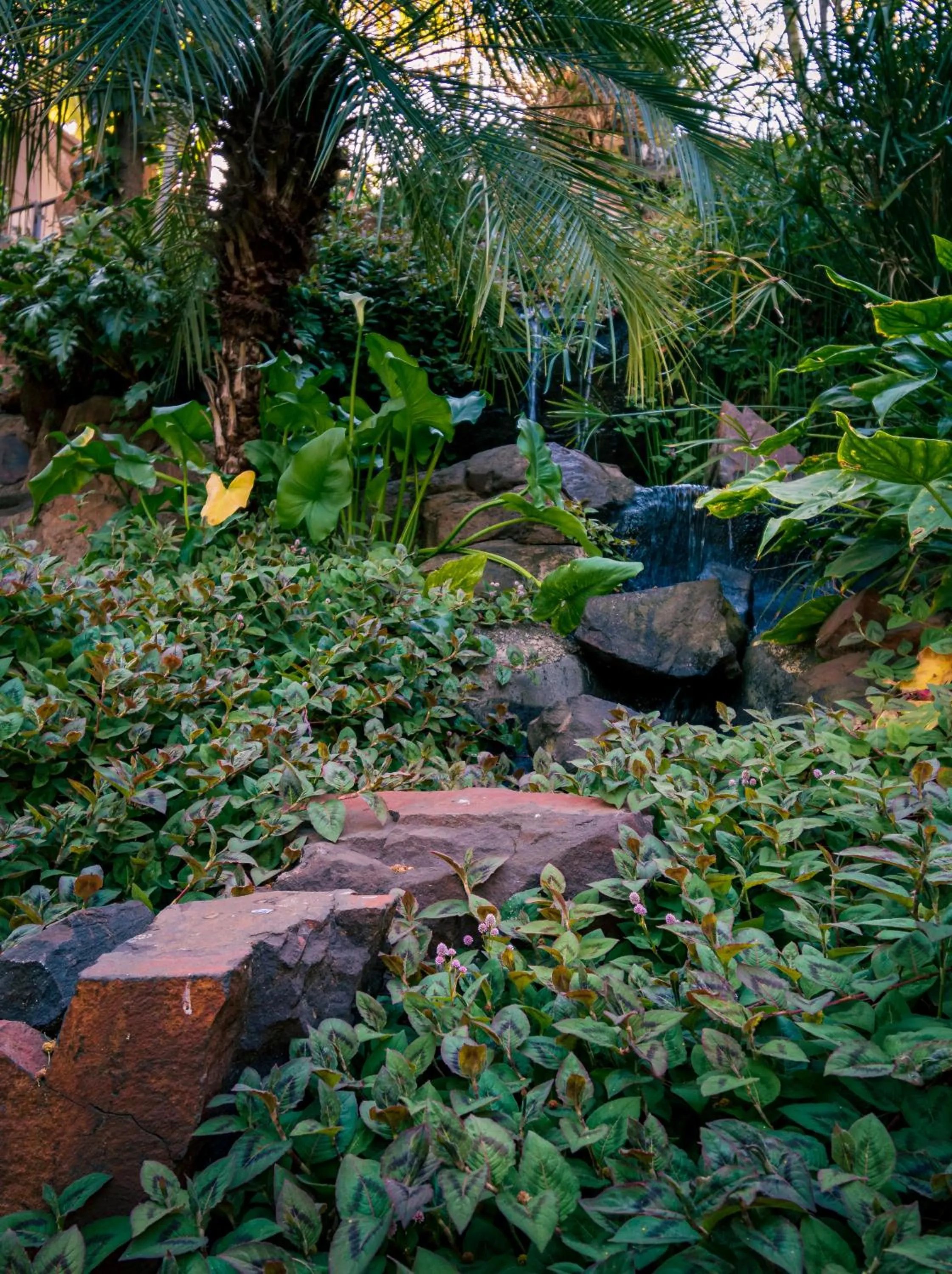Garden in Waterfalls Boutique Hotel