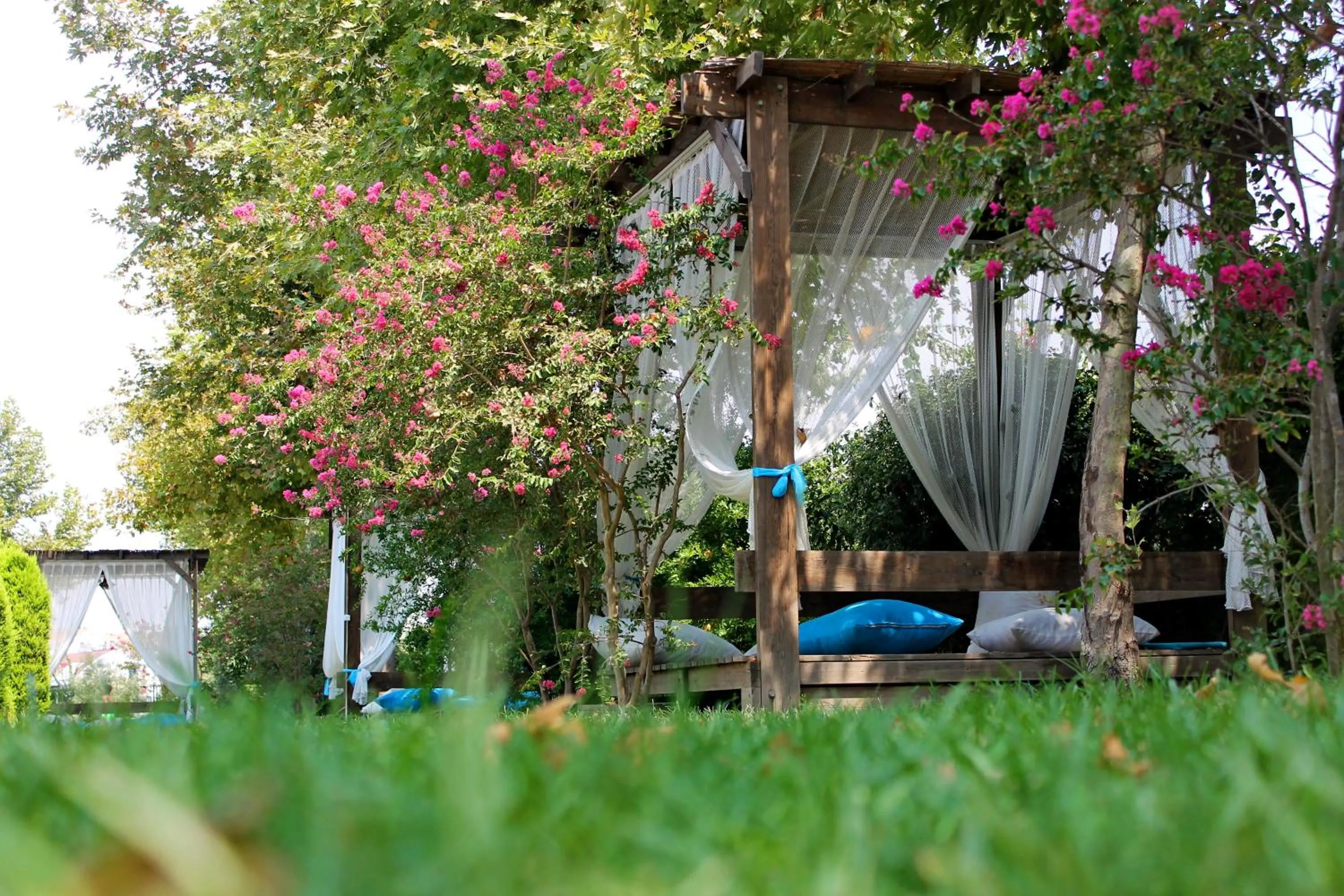 Garden in Irem Garden Hotel & Apartments