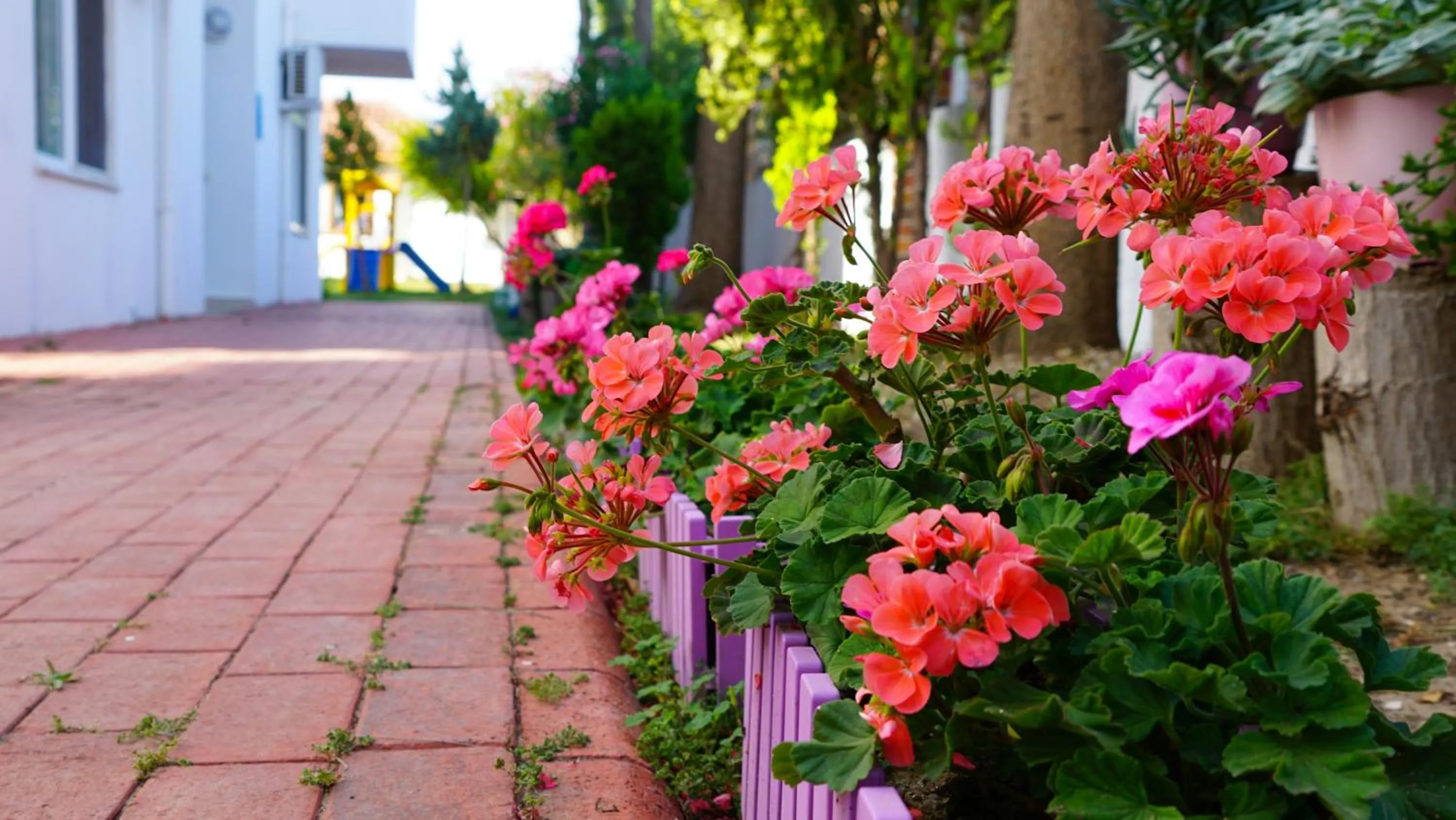 Garden in Irem Garden Hotel & Apartments