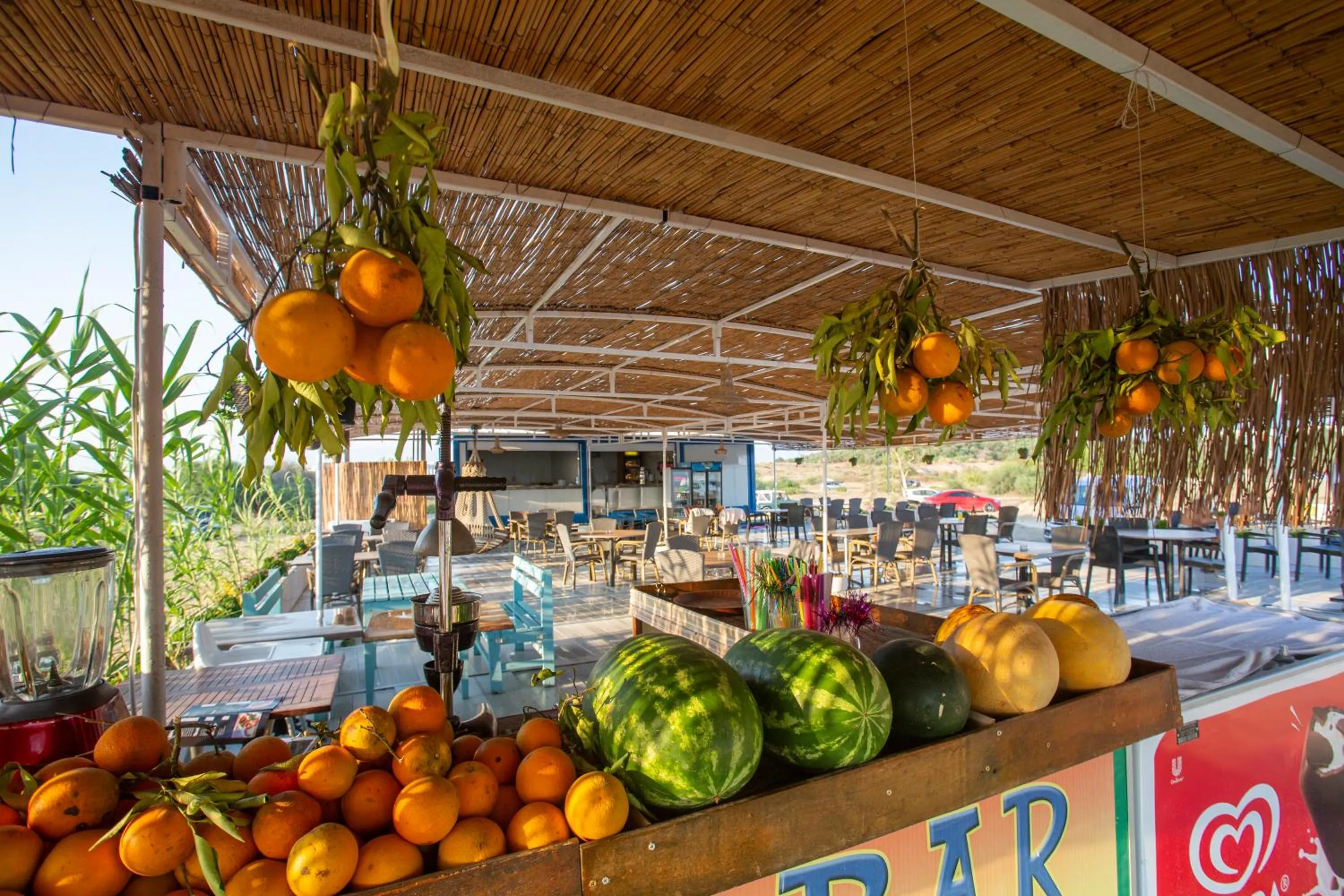 Beach in Irem Garden Hotel & Apartments