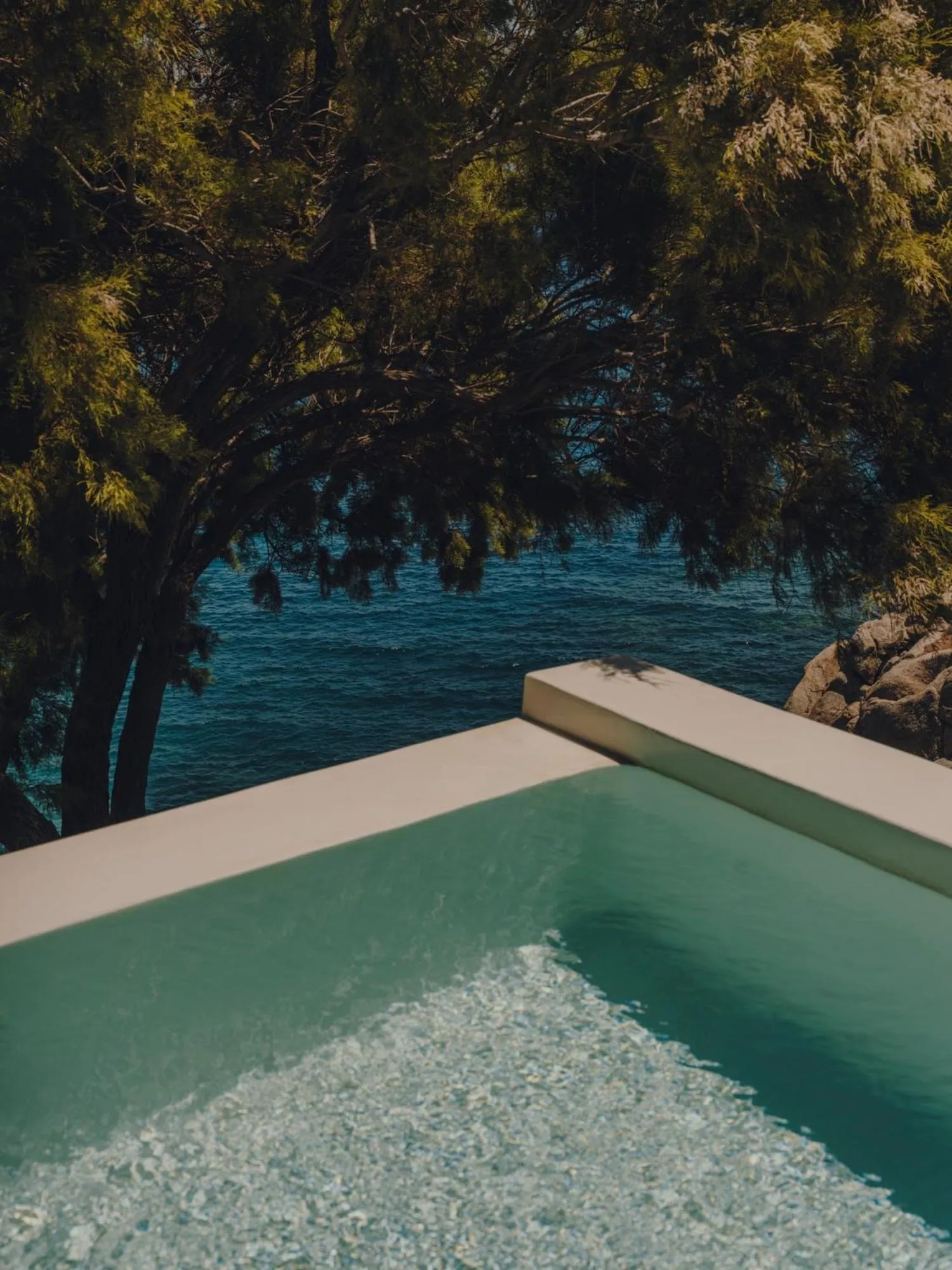 Day in The Wild by Interni