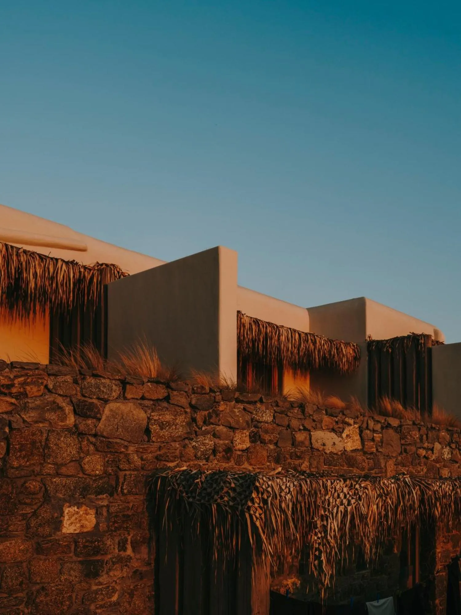 Day in The Wild by Interni