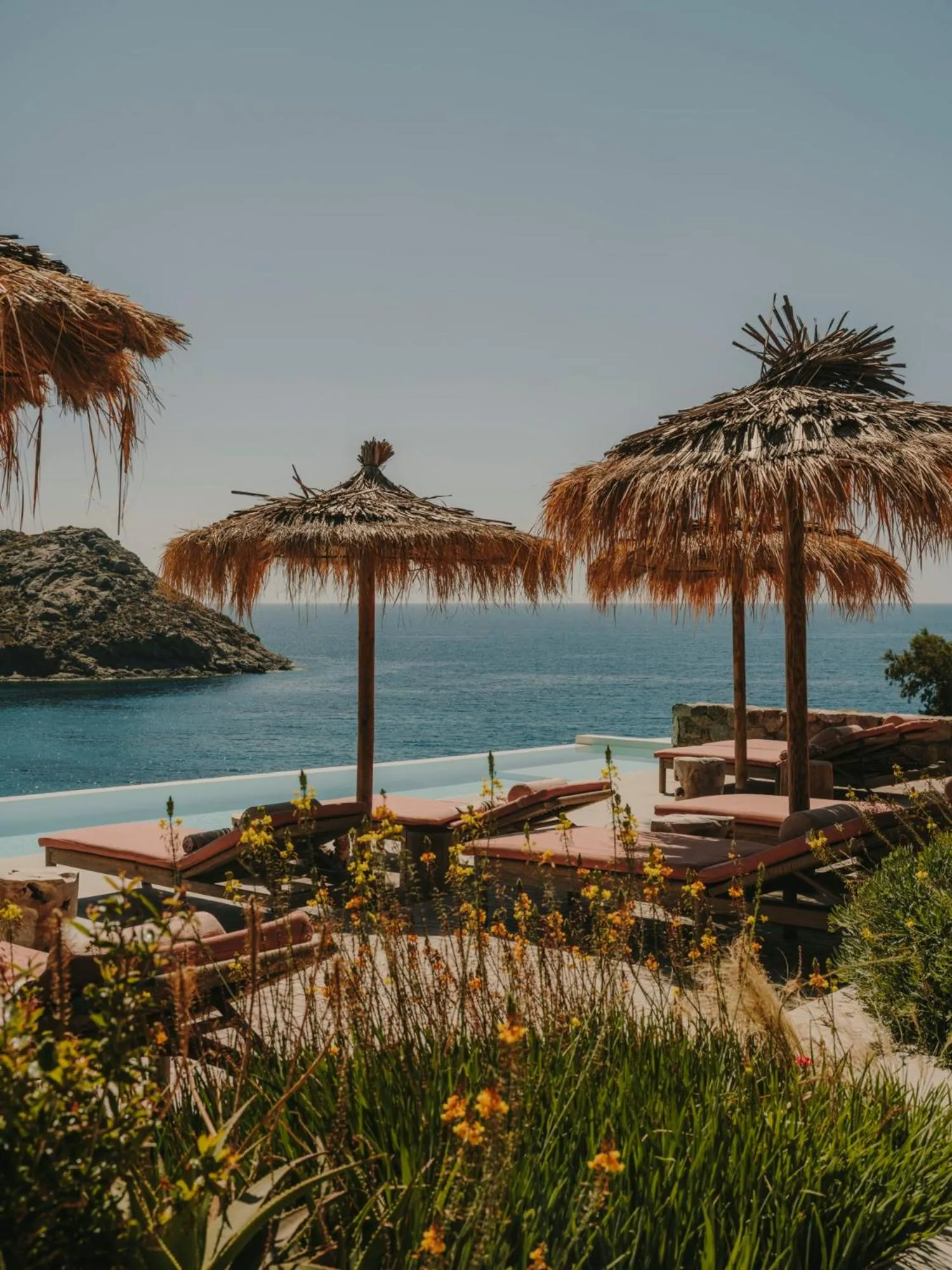 Day in The Wild by Interni