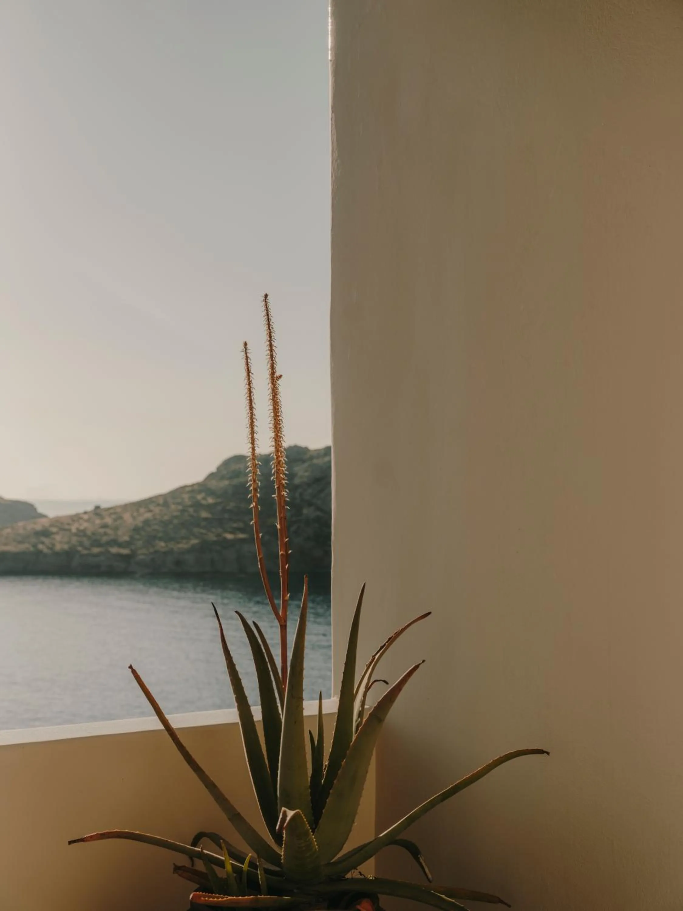 Day in The Wild by Interni