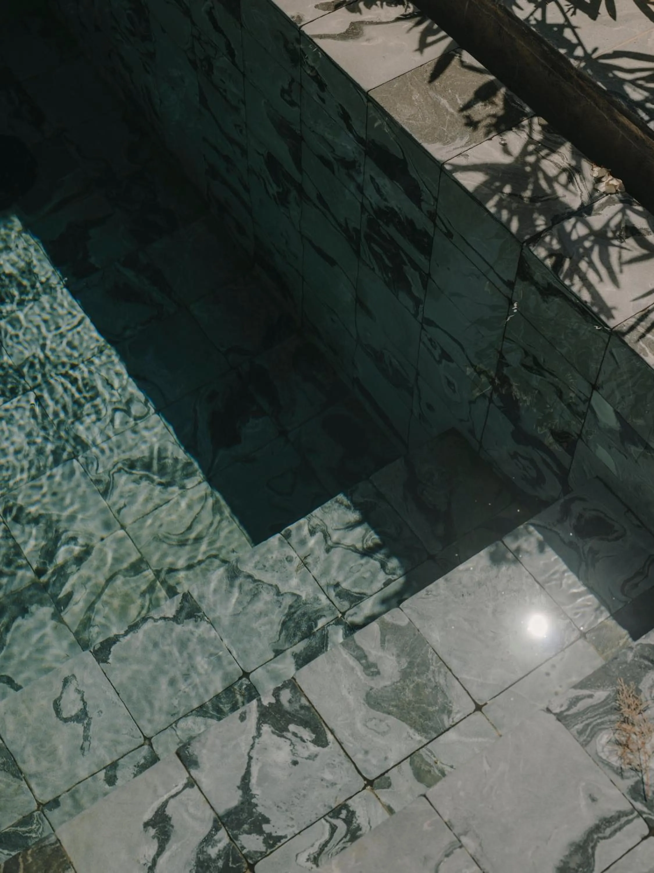 Pool view in The Wild by Interni